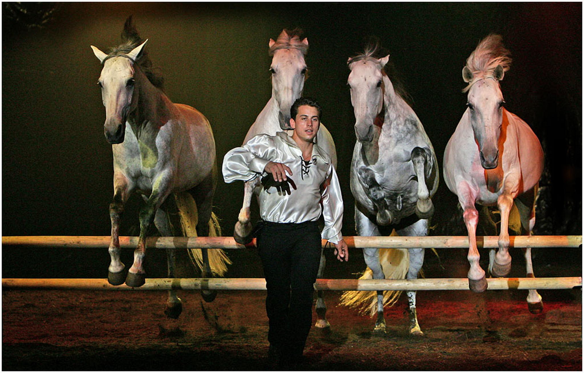 Lorenzo 6000426777 o