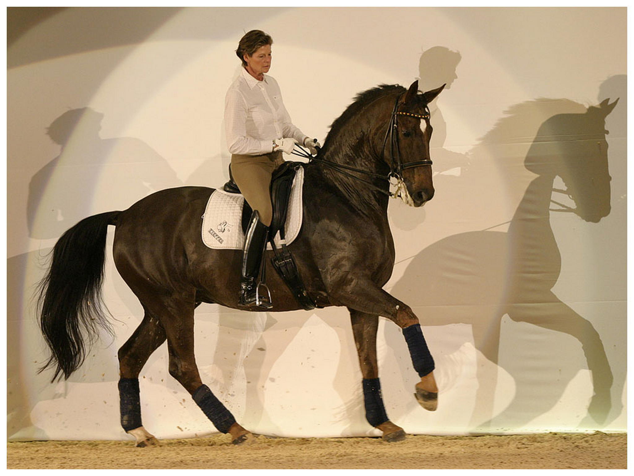 Mein freund rusty 6009768068 o