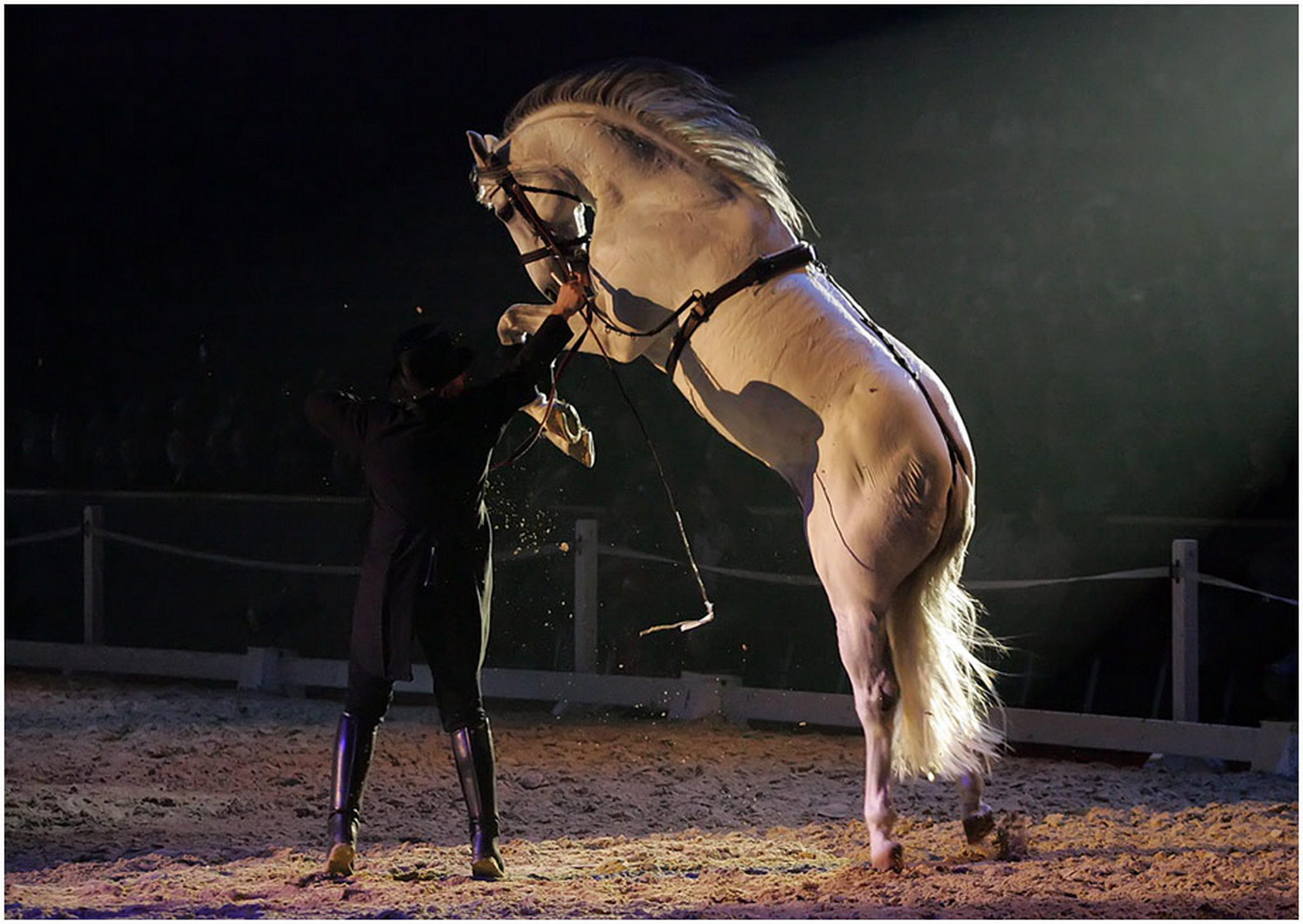 Munteres pferdchen 6011101916 o