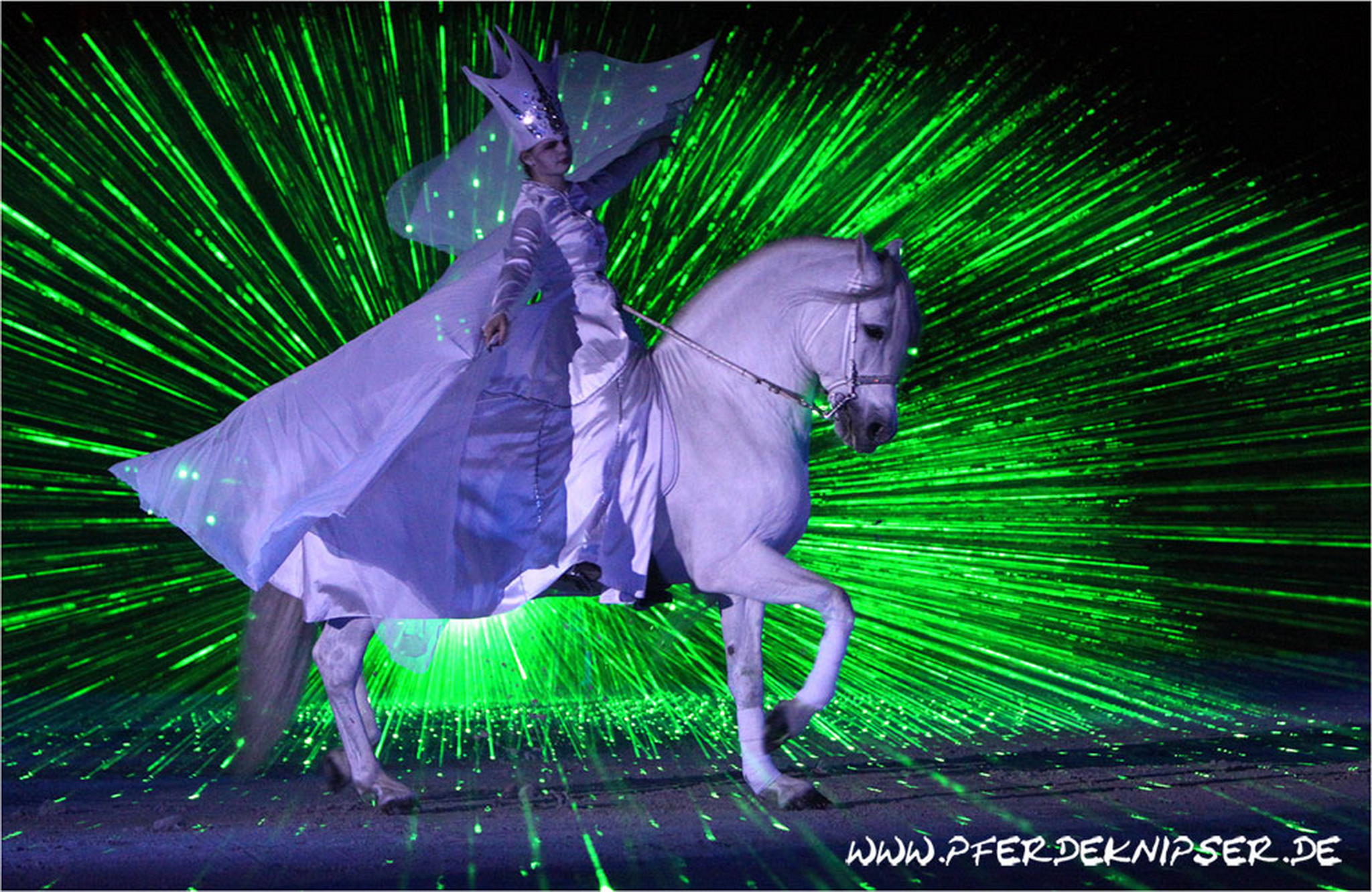 Nochmals pegasus 6000181169 o