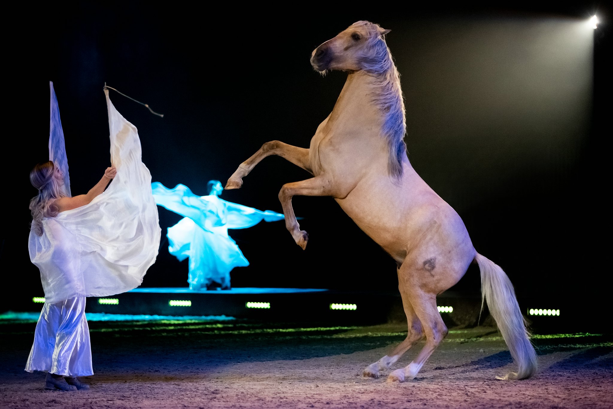 Pebe0862 47937644708 o