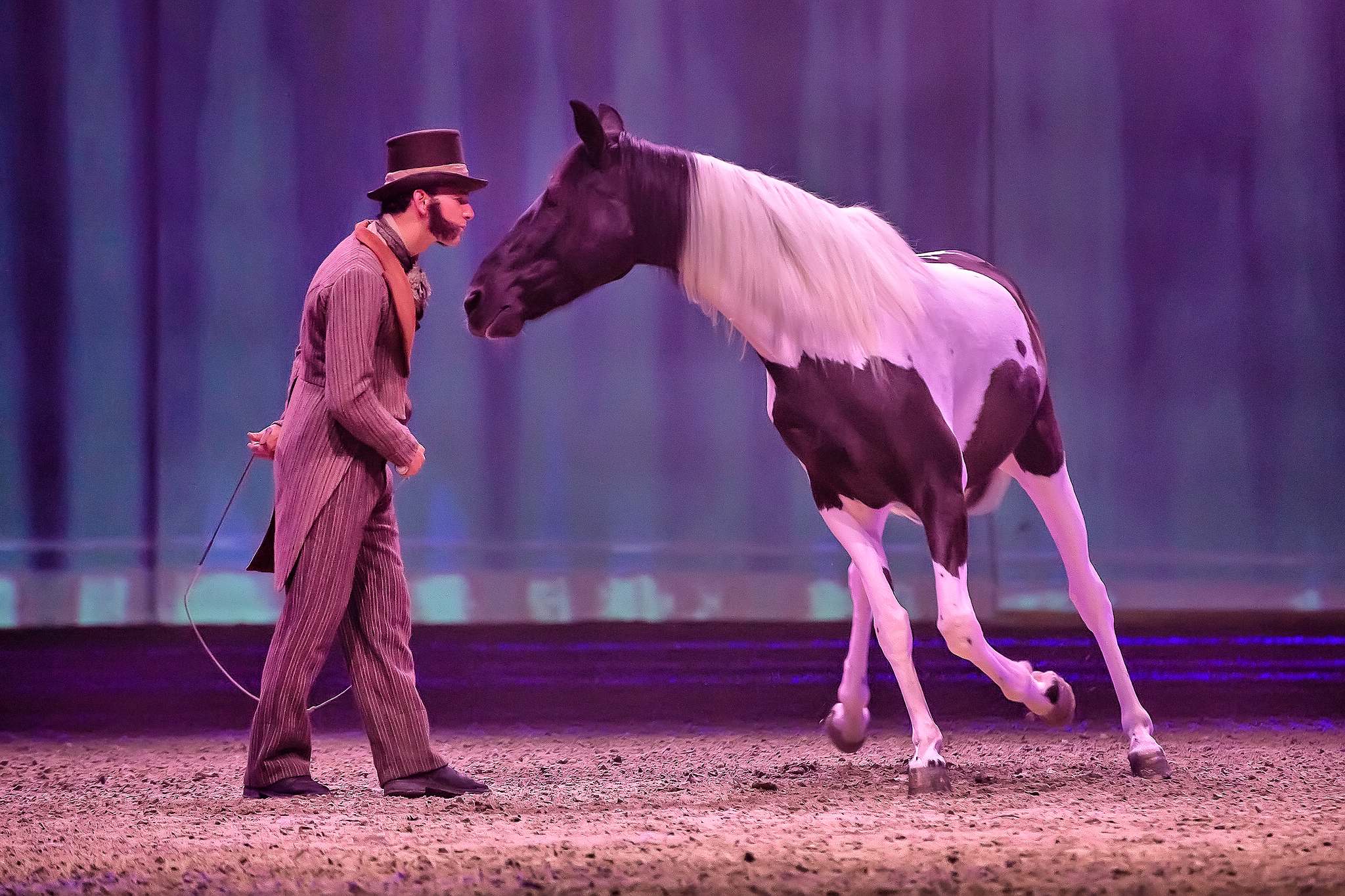 Pebe1951 47937665092 o