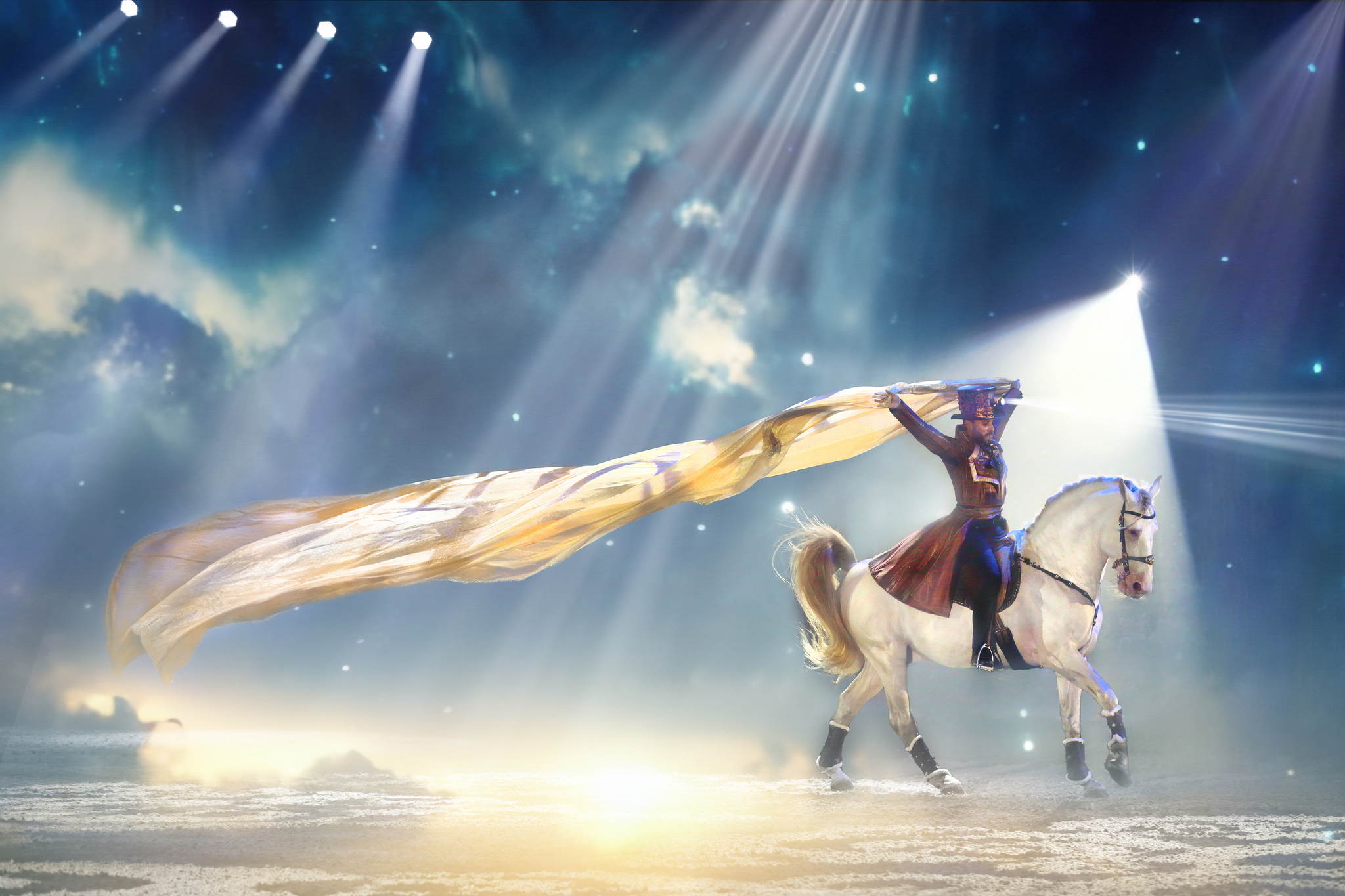 Pebe1999a 53094217513 o