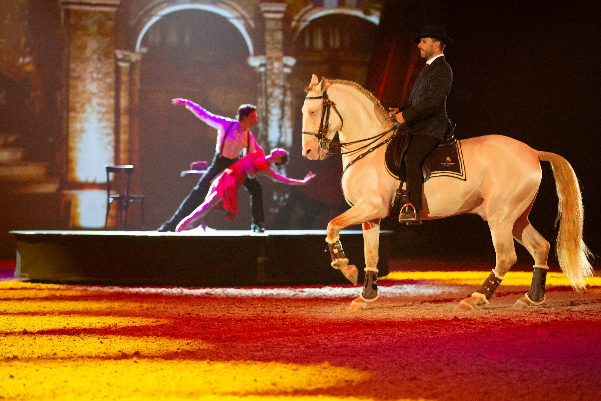 Pebe3324 47937601052 o