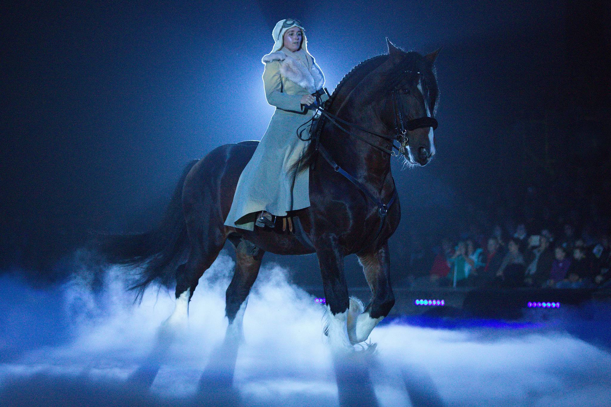 Pebe3581 47937578892 o