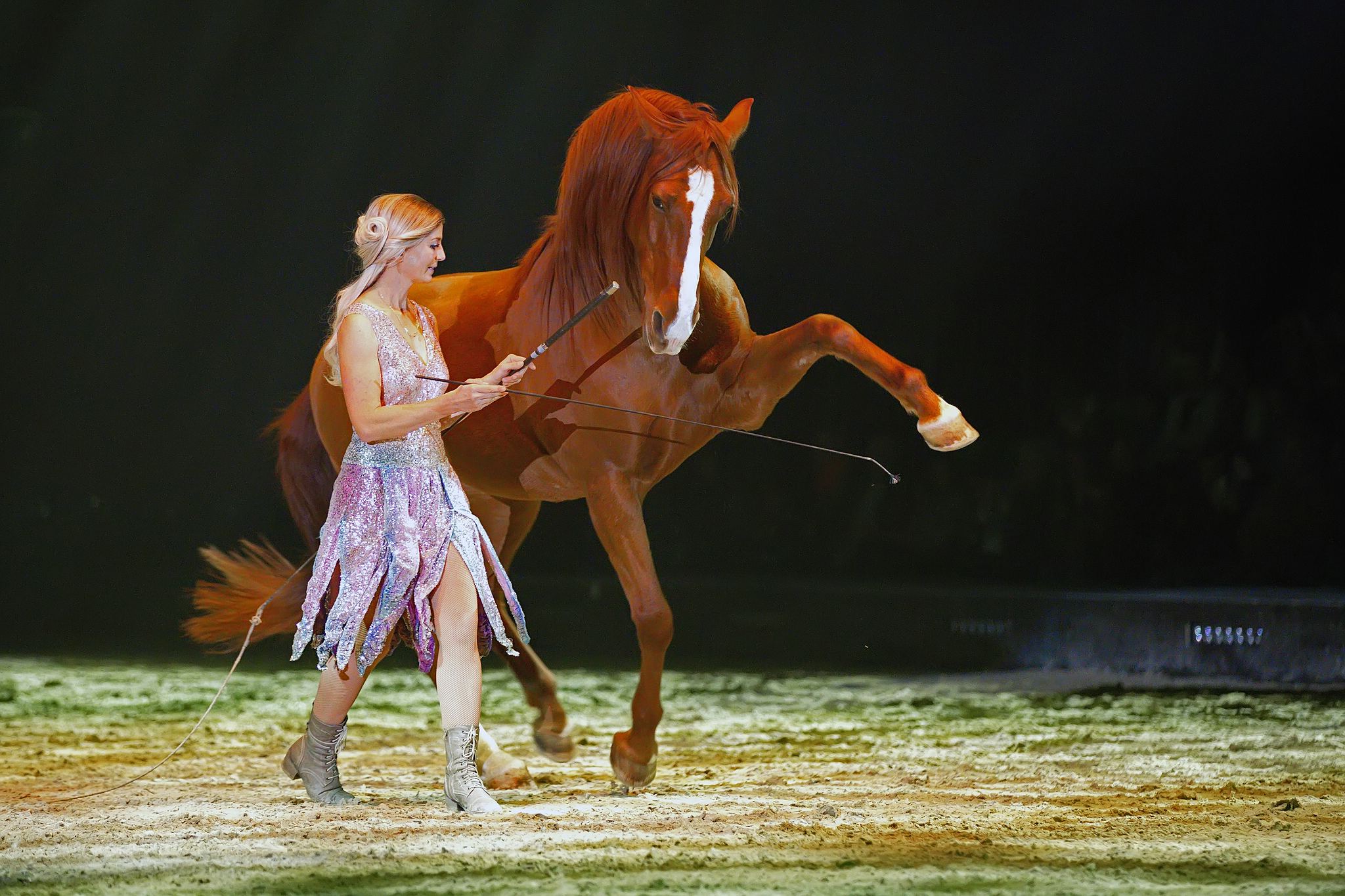 Pebe4508a 47937723268 o