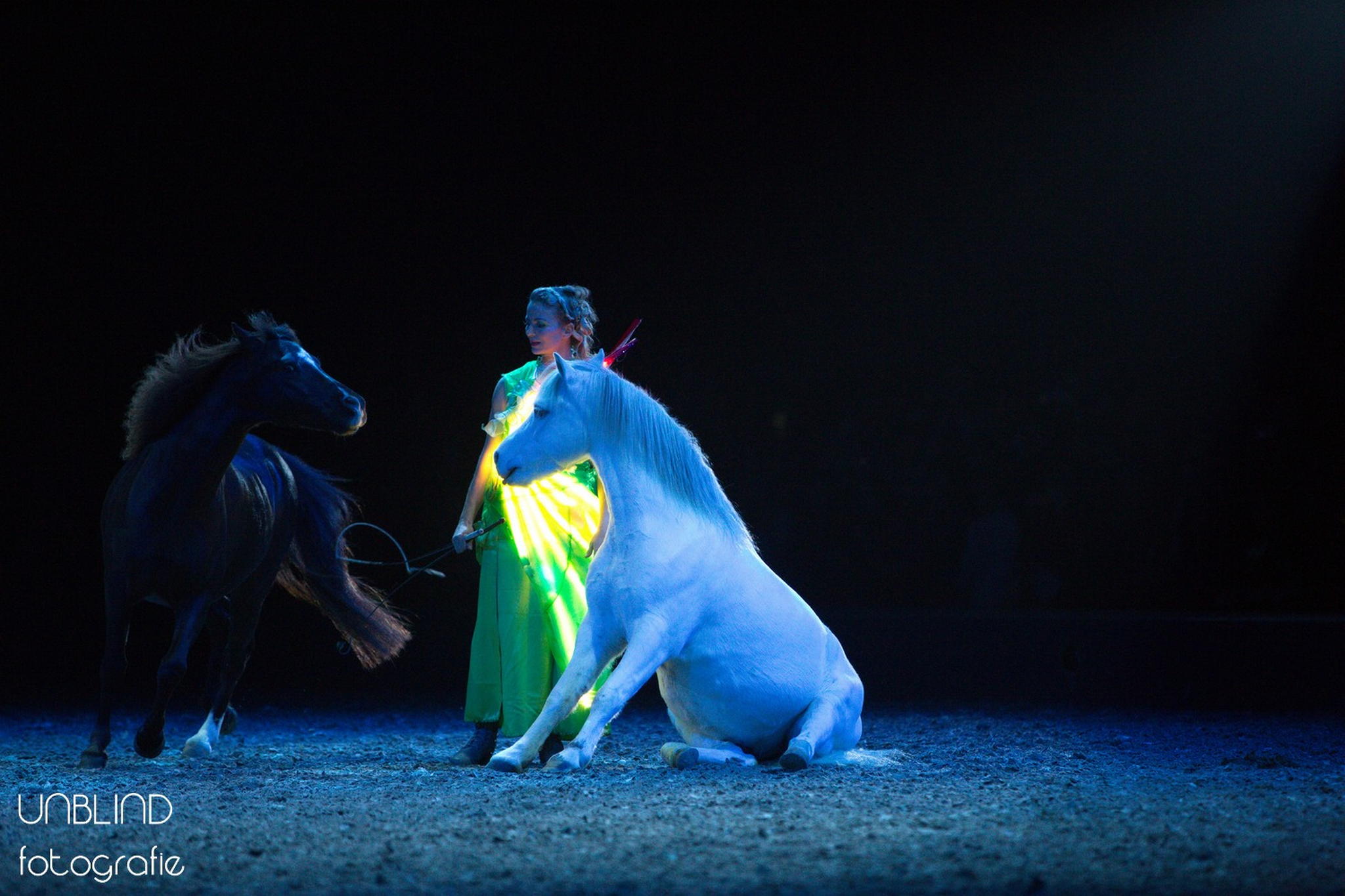 Pebe4530 38123611546 o