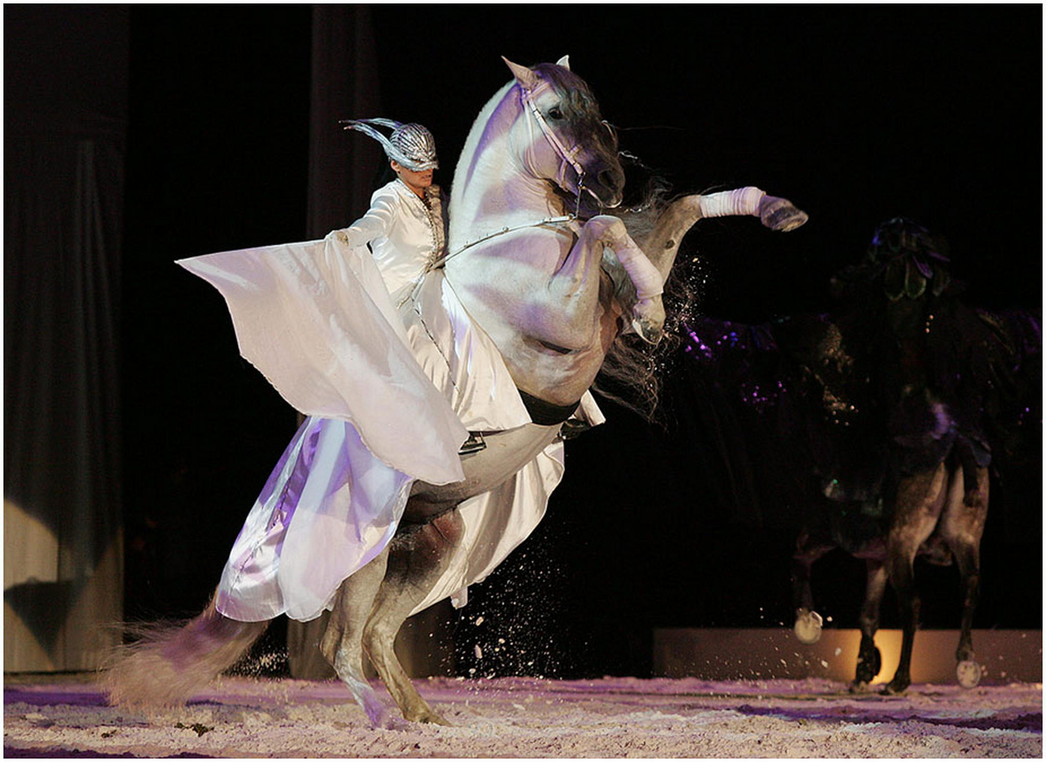 Pegasus 1 6008526416 o