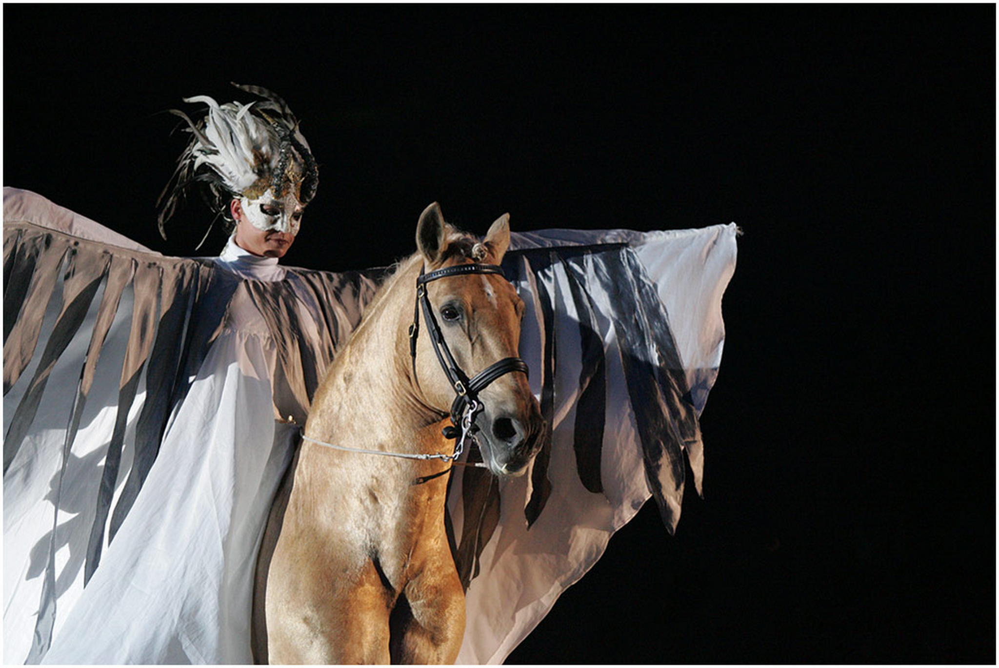 Pegasus 6008525736 o