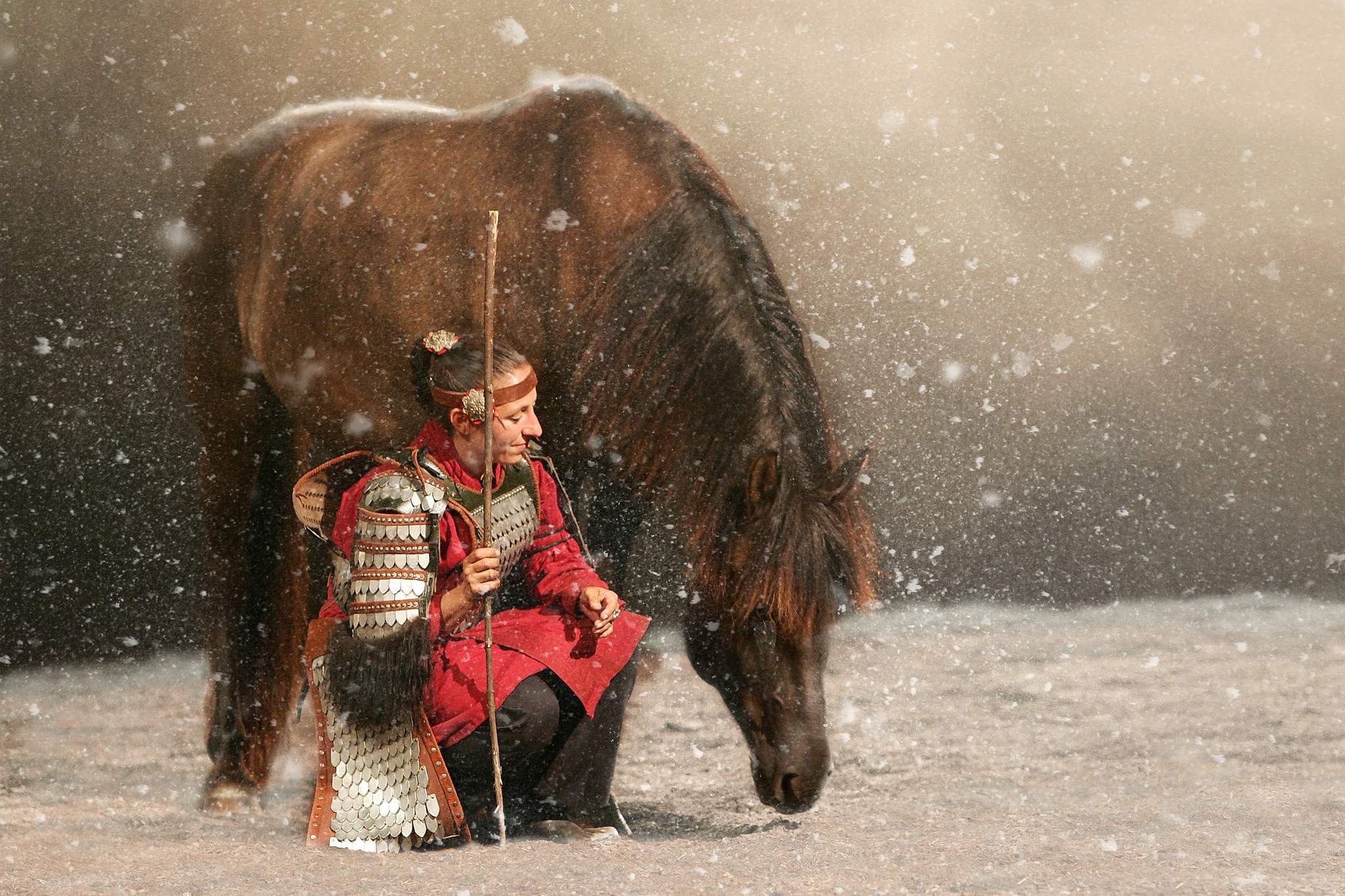 Pettra 24005651985 o