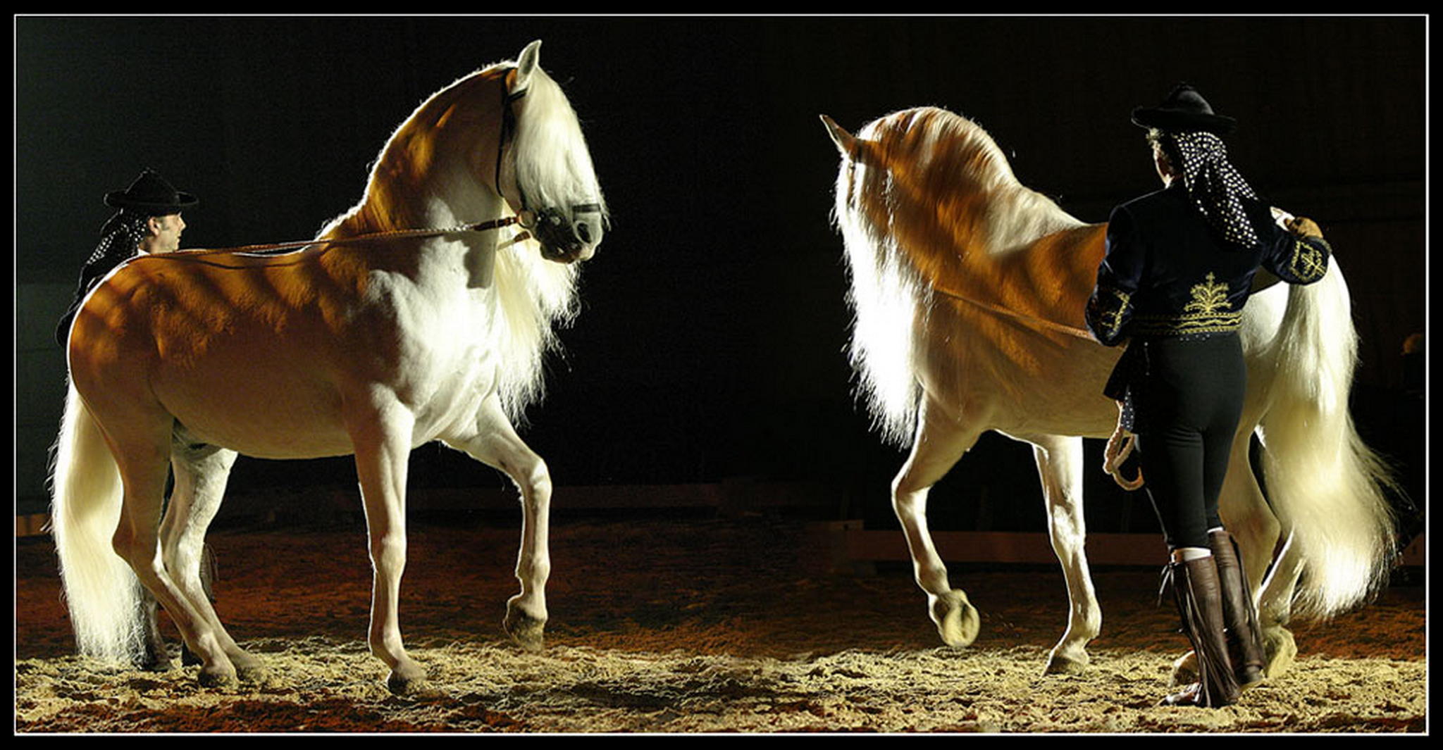 Spanische eleganz 6009218661 o