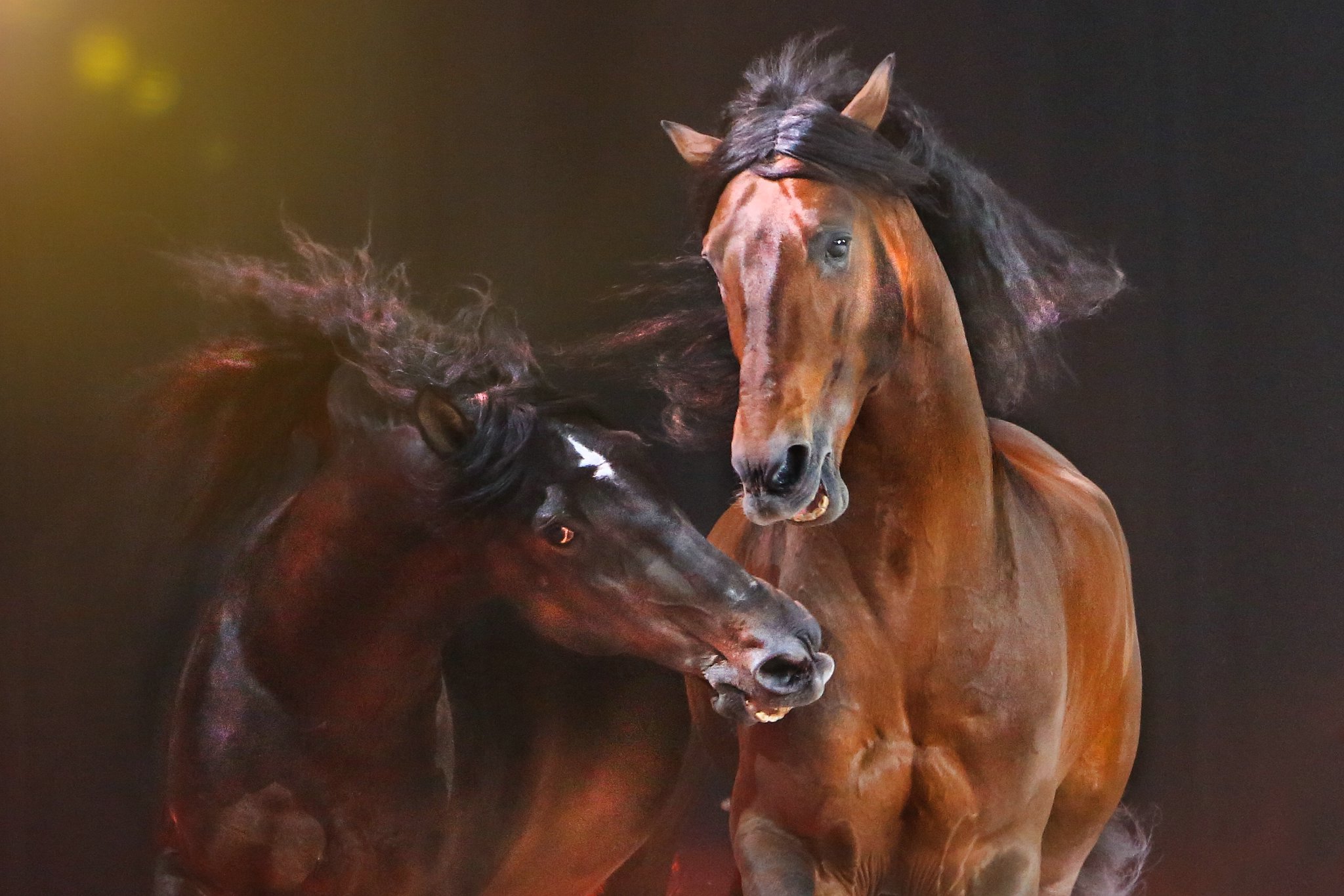 Ur4a5432aa 53030330093 o