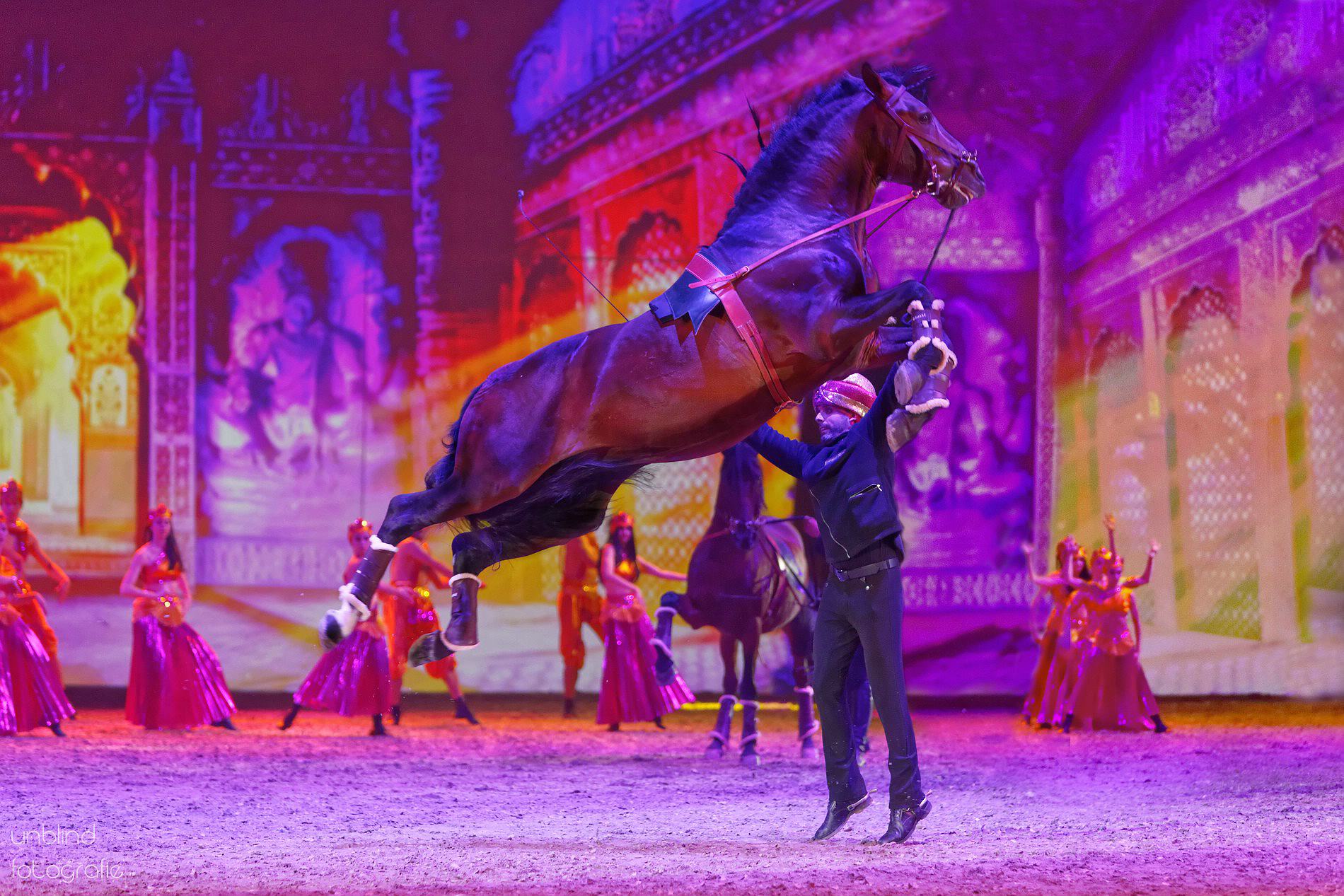 Vkl04  pebe0831 dxo 1 38179813901 o