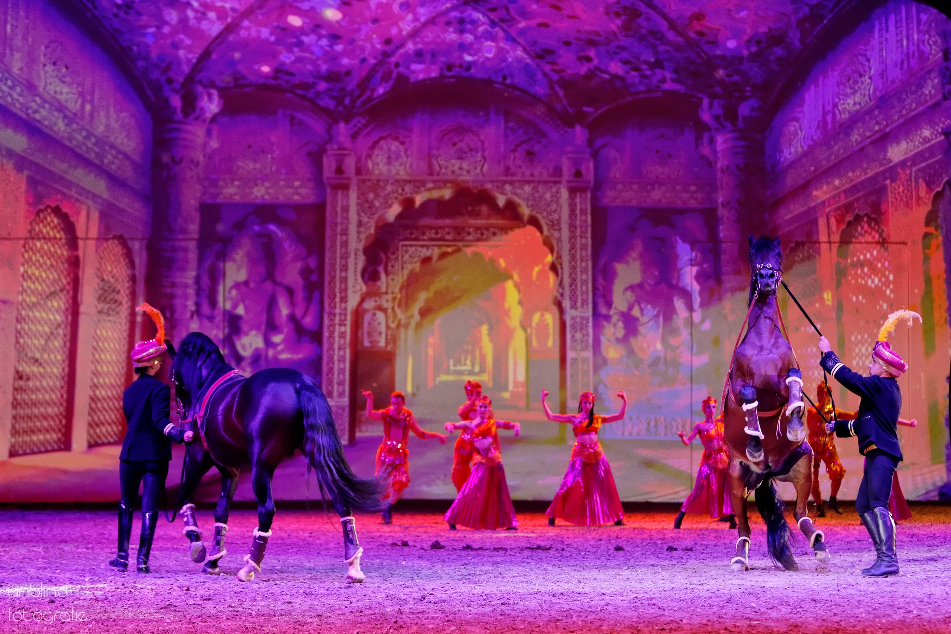 Vkl04  pebe0840 dxo 26404494299 o