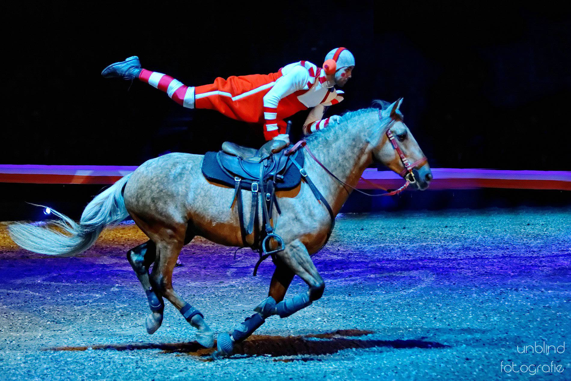 Vkl15  pebe6952 dxo 38123586826 o