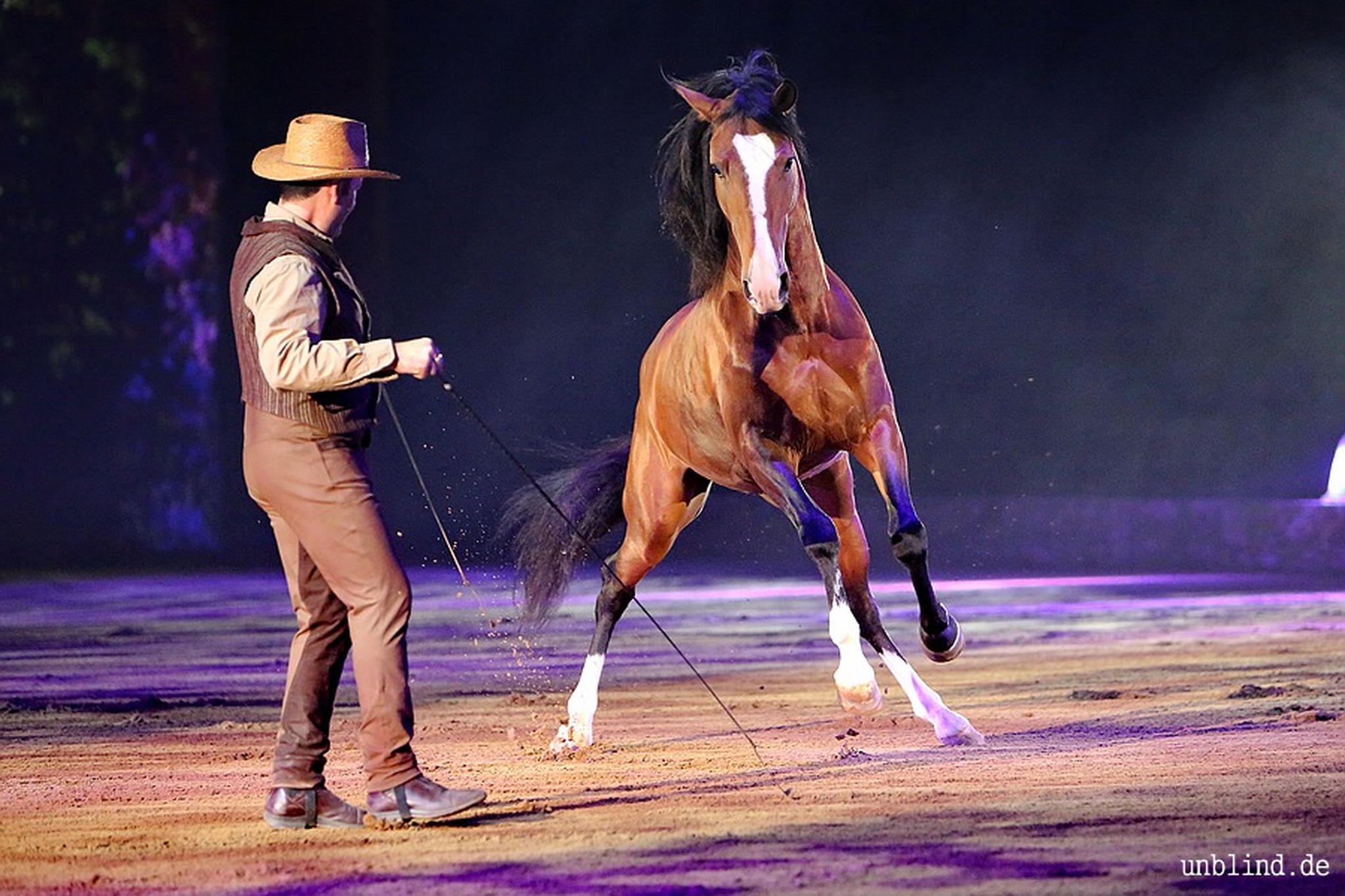 Web 006 02 unb 1255 9184725435 o