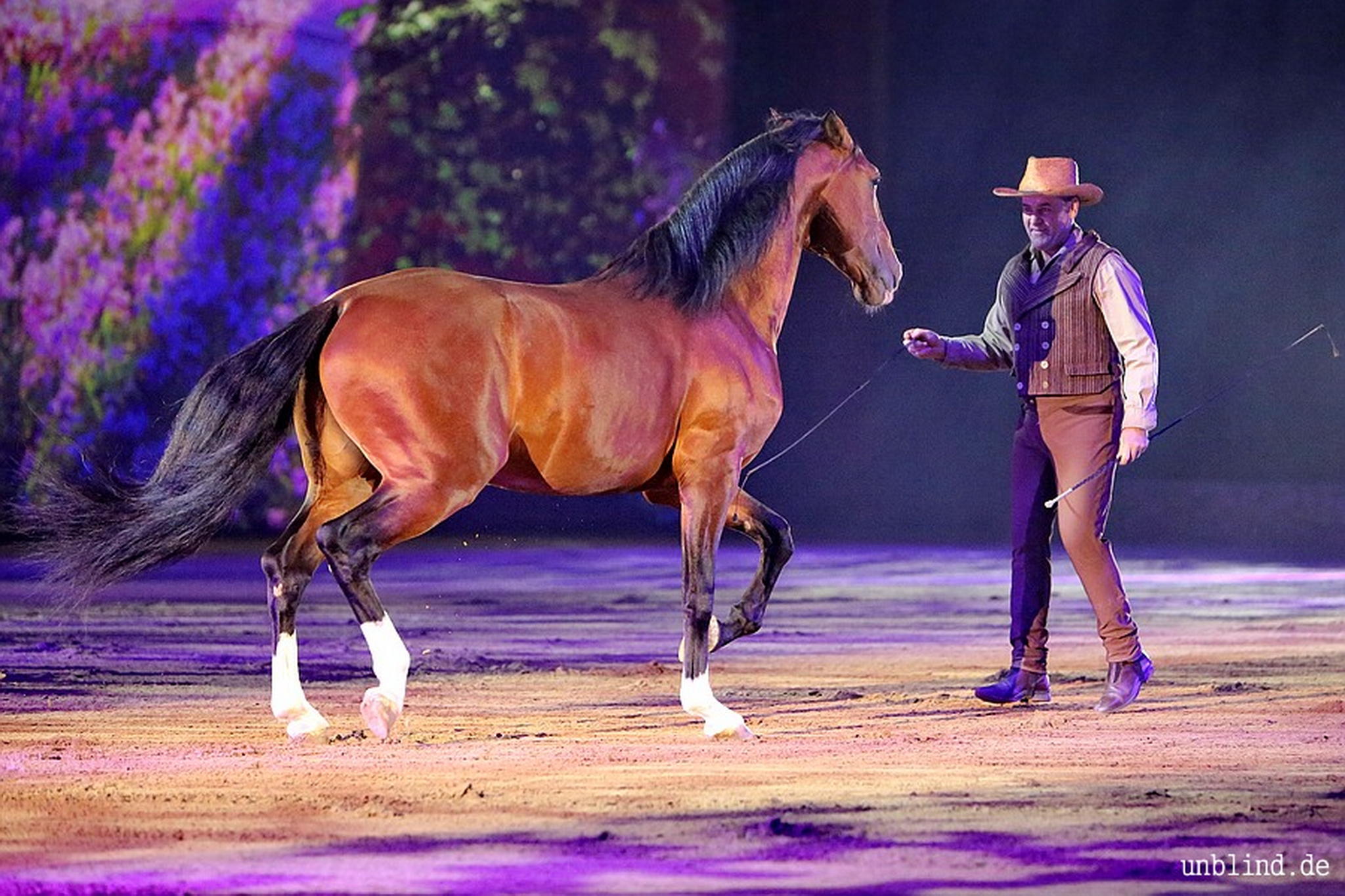 Web 007 02 unb 1256 9187169722 o