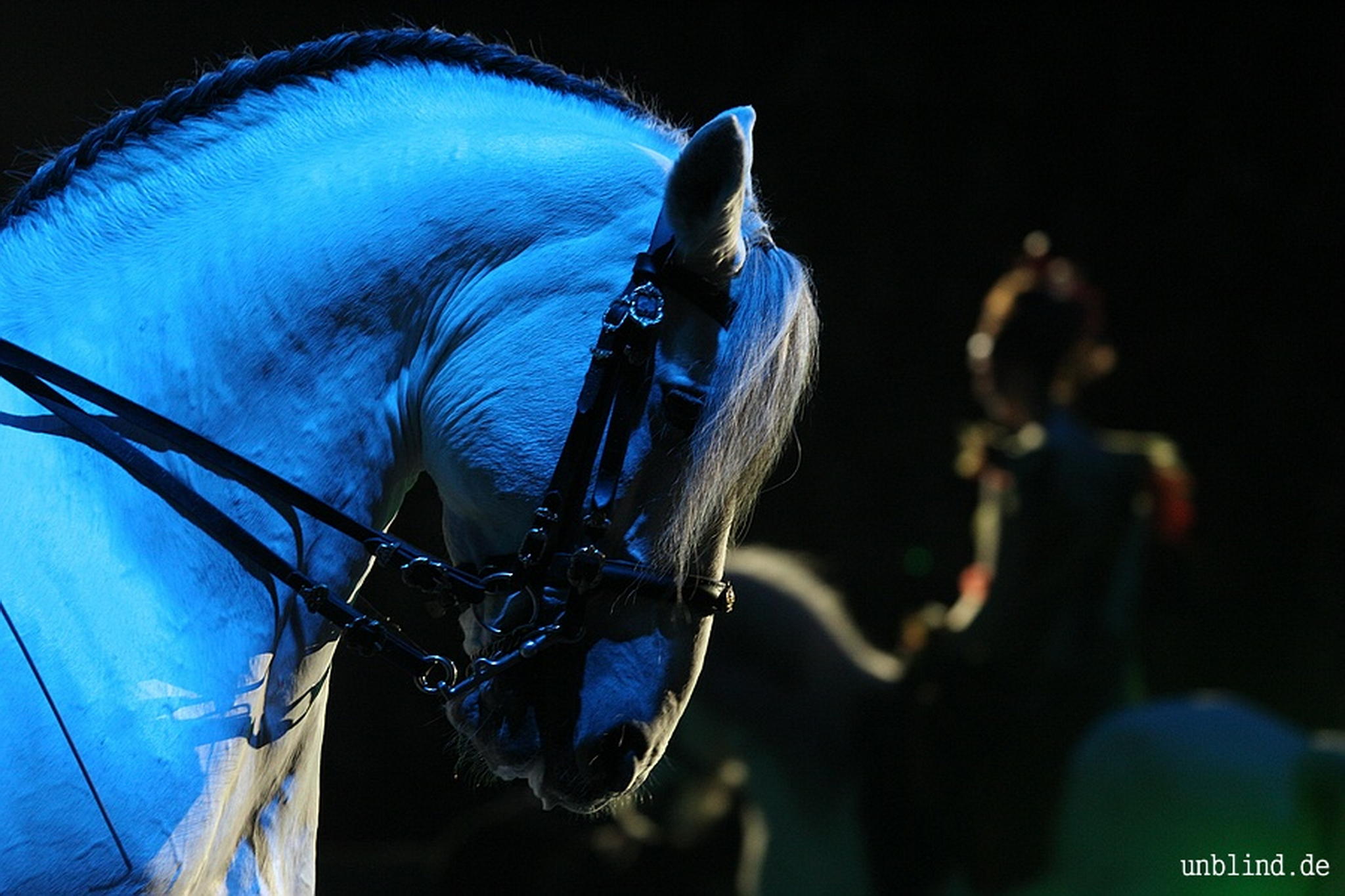 Web 019 03 unb 7097 9187163338 o