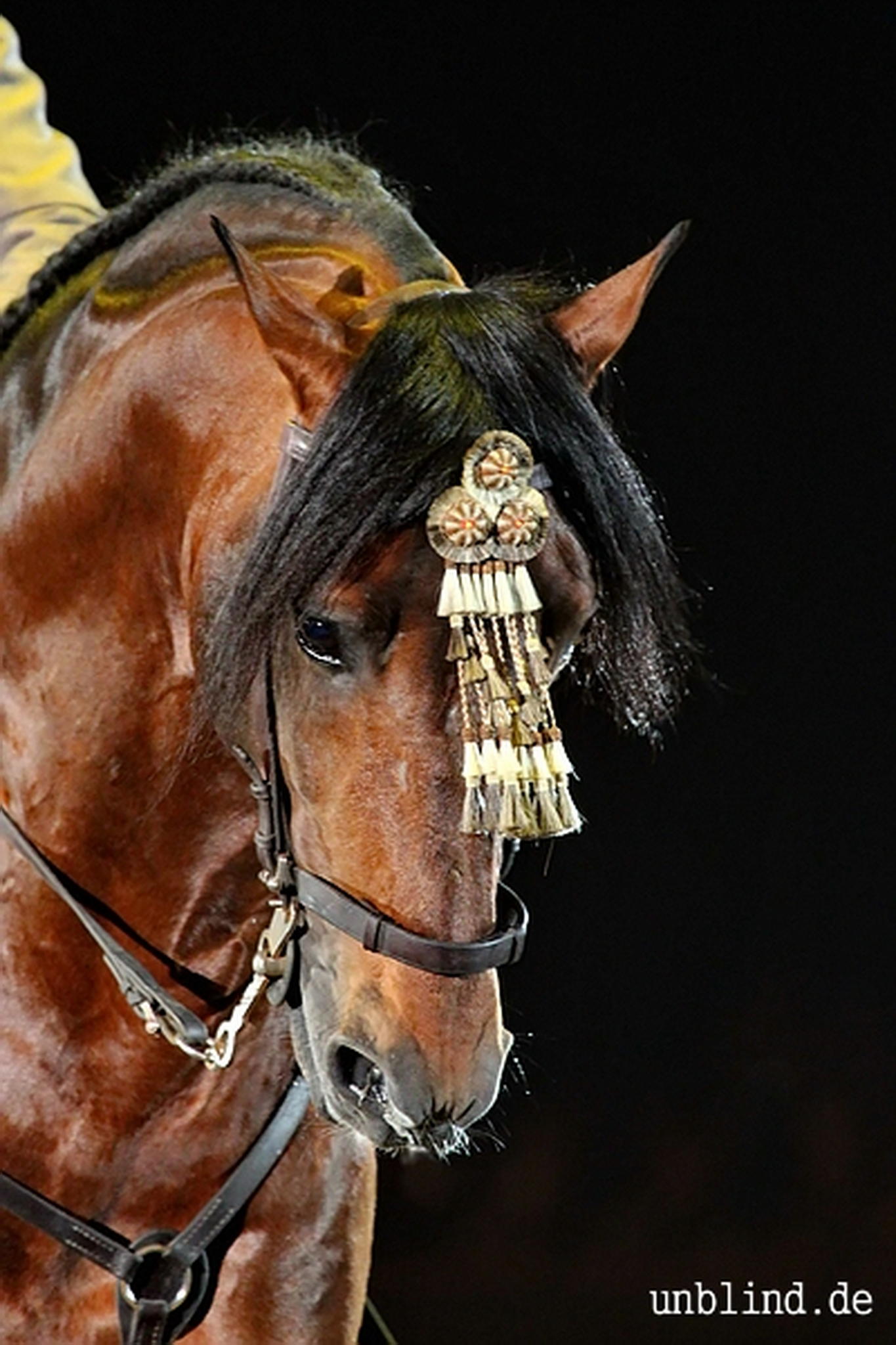 Web 046 04 unb 7137 9184704909 o