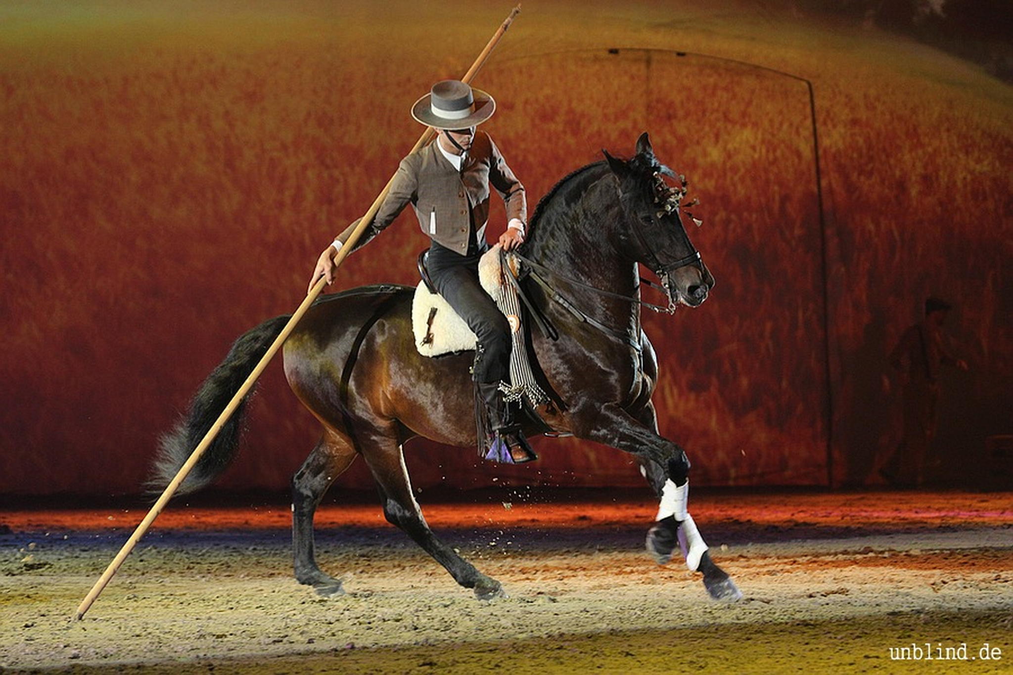 Web 050 04 unb 7195 9187147588 o