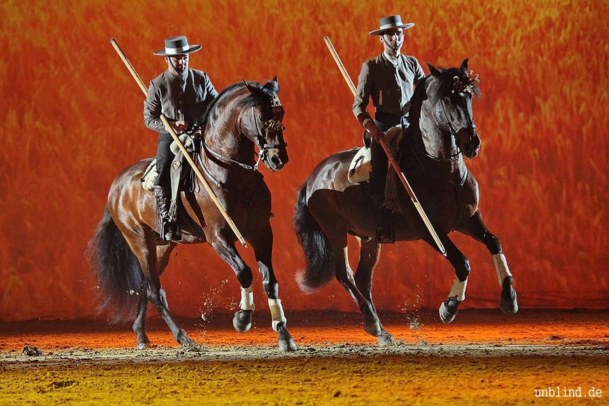 Web 051 04 unb 7205 9187147038 o