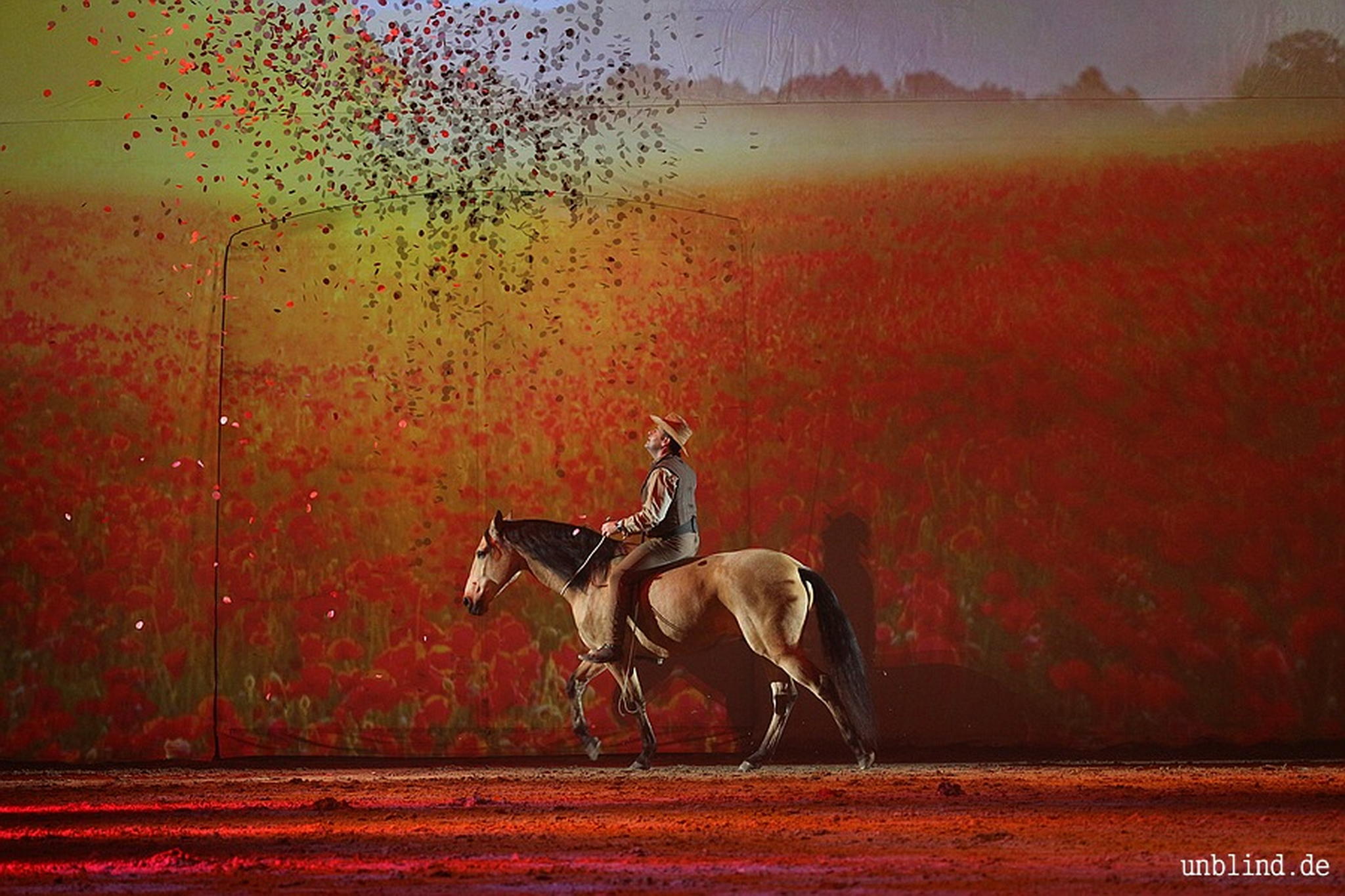 Web 056 05 unb 7236 9187144956 o