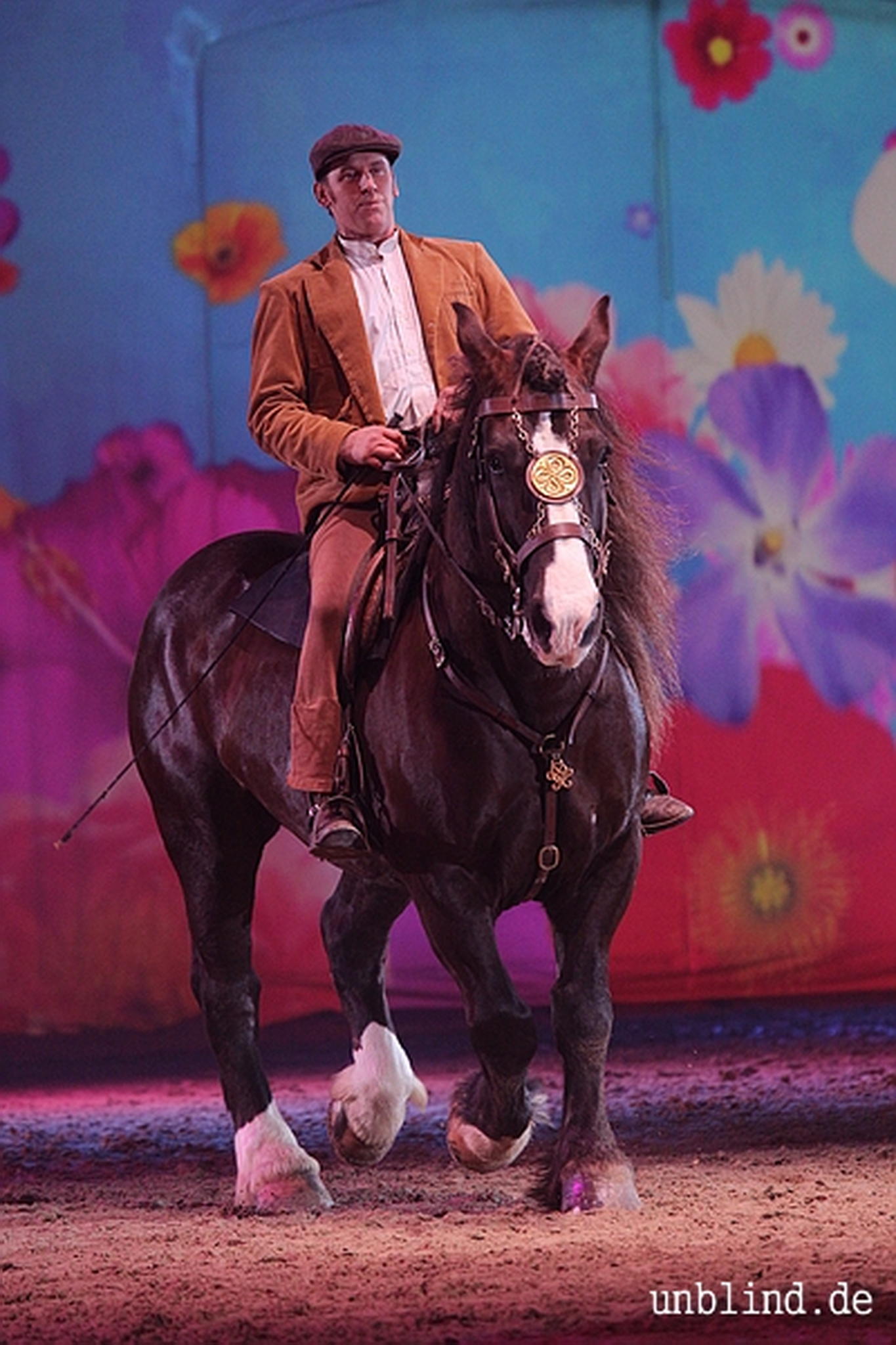 Web 088 06 unb 7323 9184684599 o