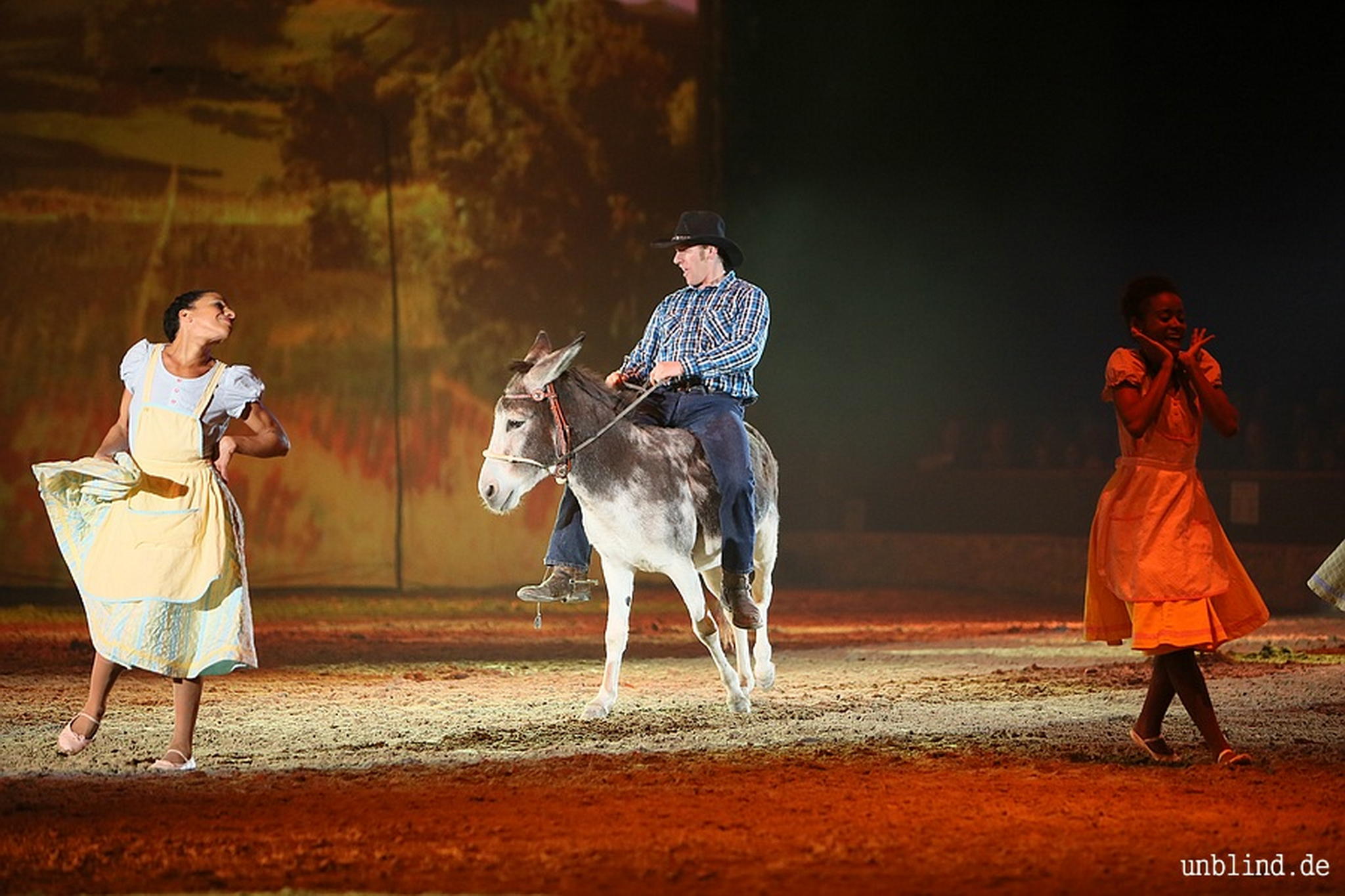 Web 144 09 unb 0560 9184658379 o