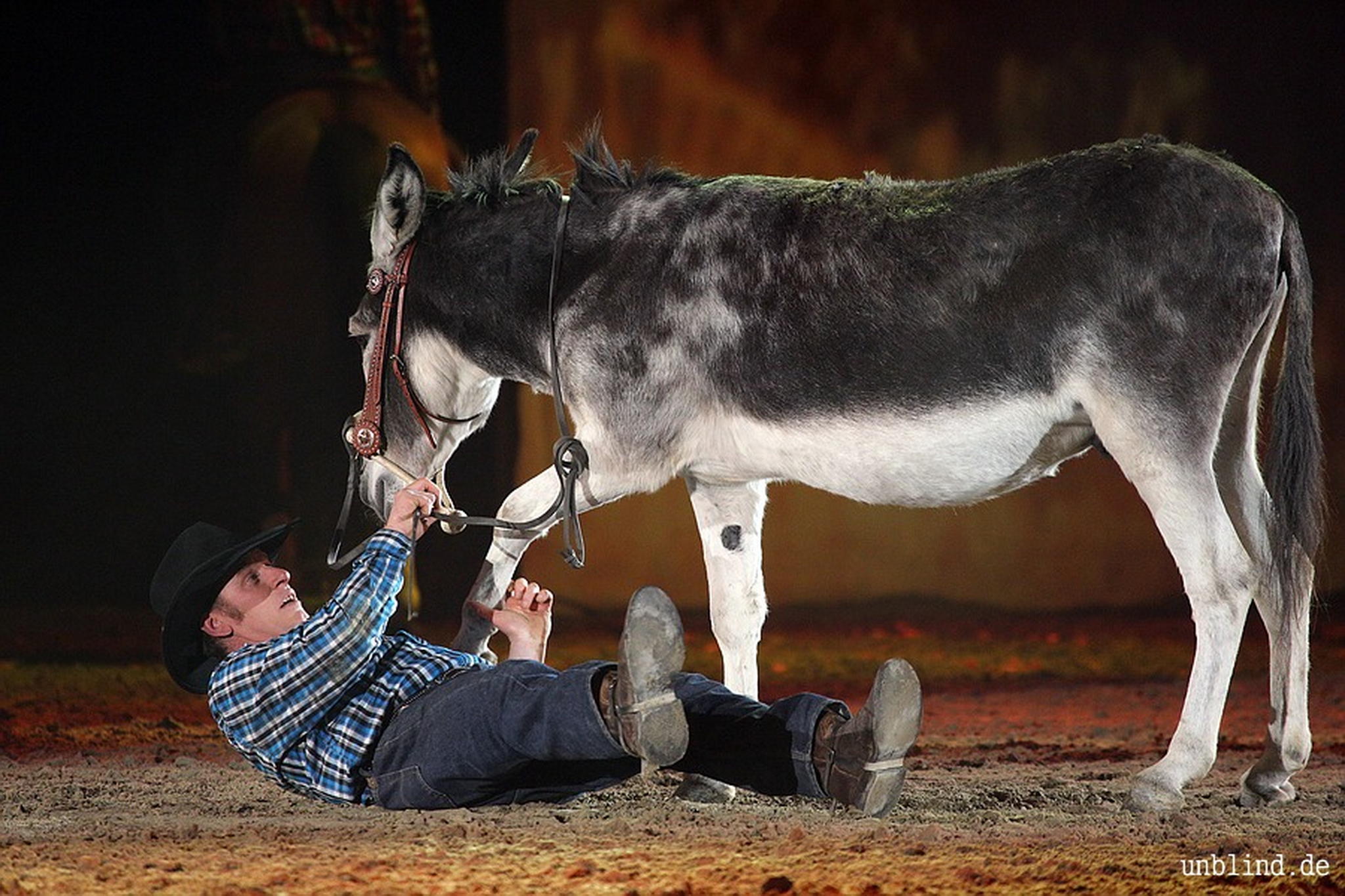 Web 146 09 unb 7580 9187101348 o