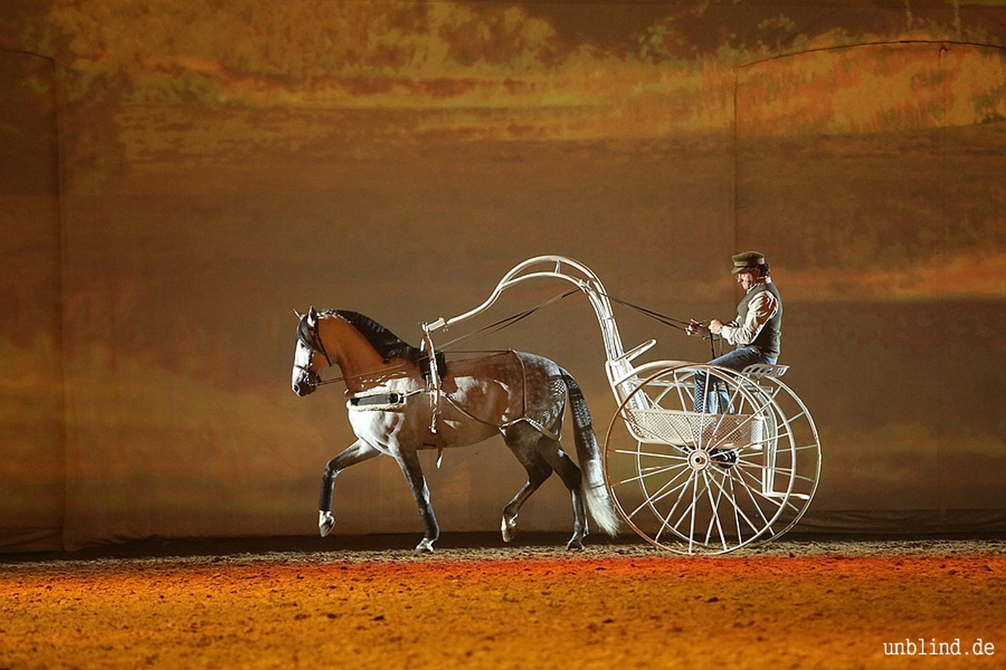 Web 148 10 unb 2358 9184655869 o