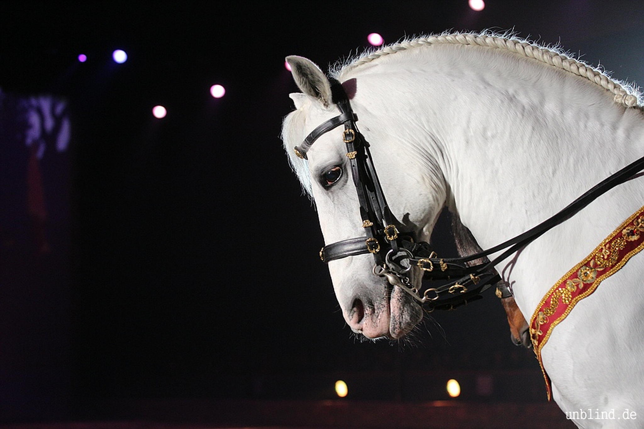 Web 203 13 unb 7778 9187046678 o