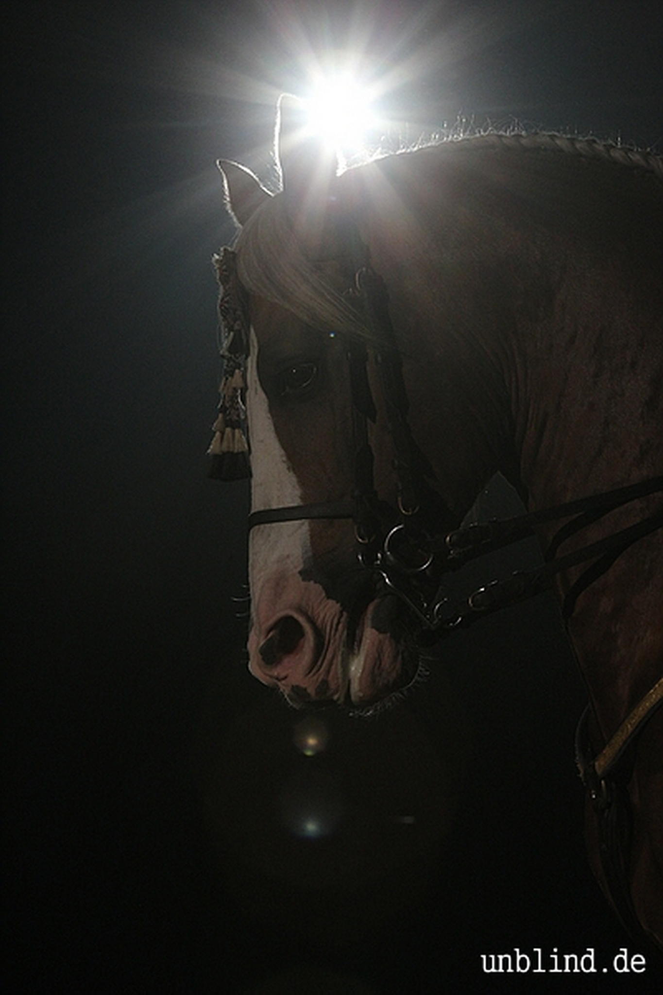 Web 205 13 unb 7919 9187044474 o