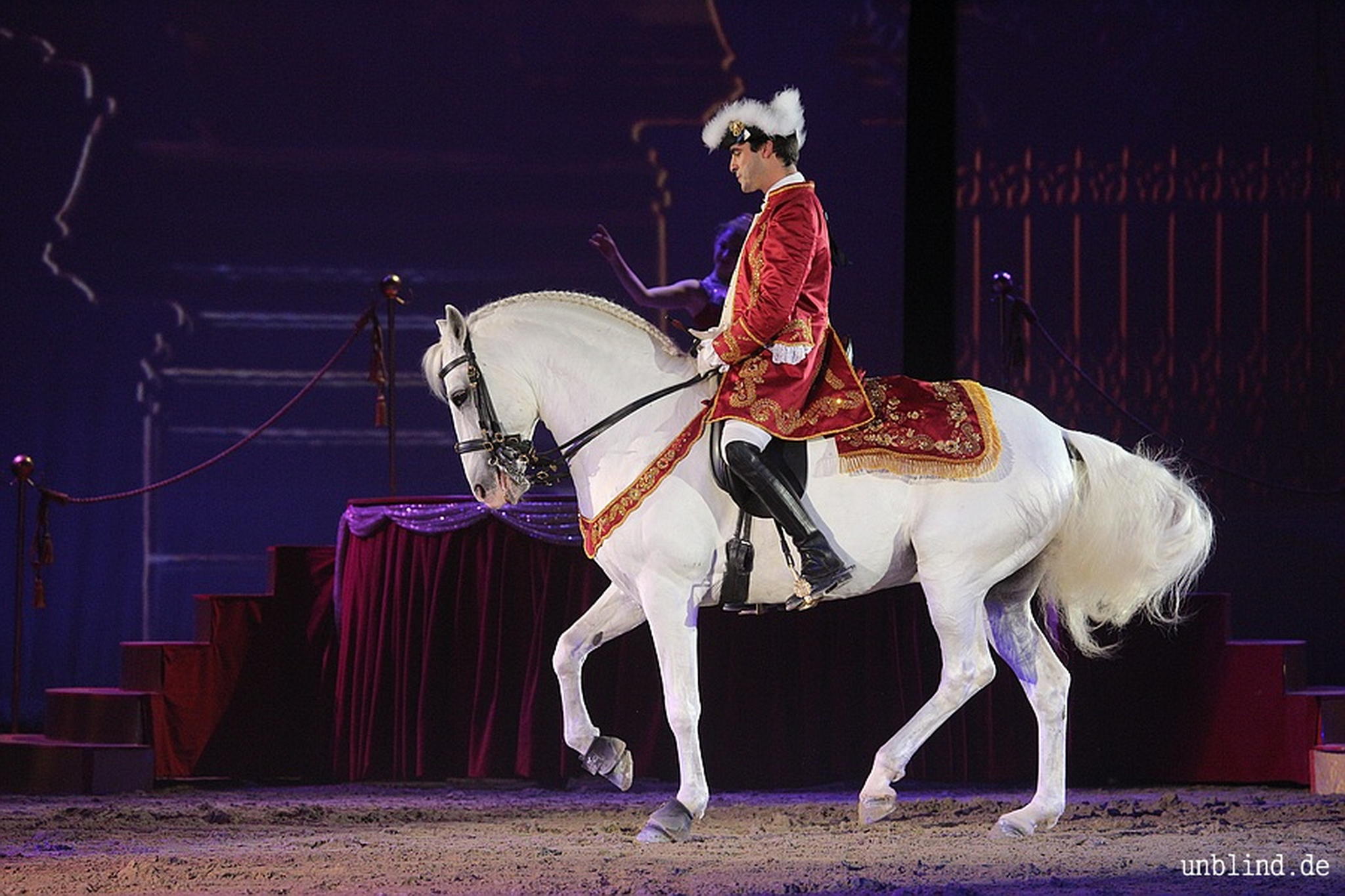 Web 206 13 unb 7794 9187043650 o