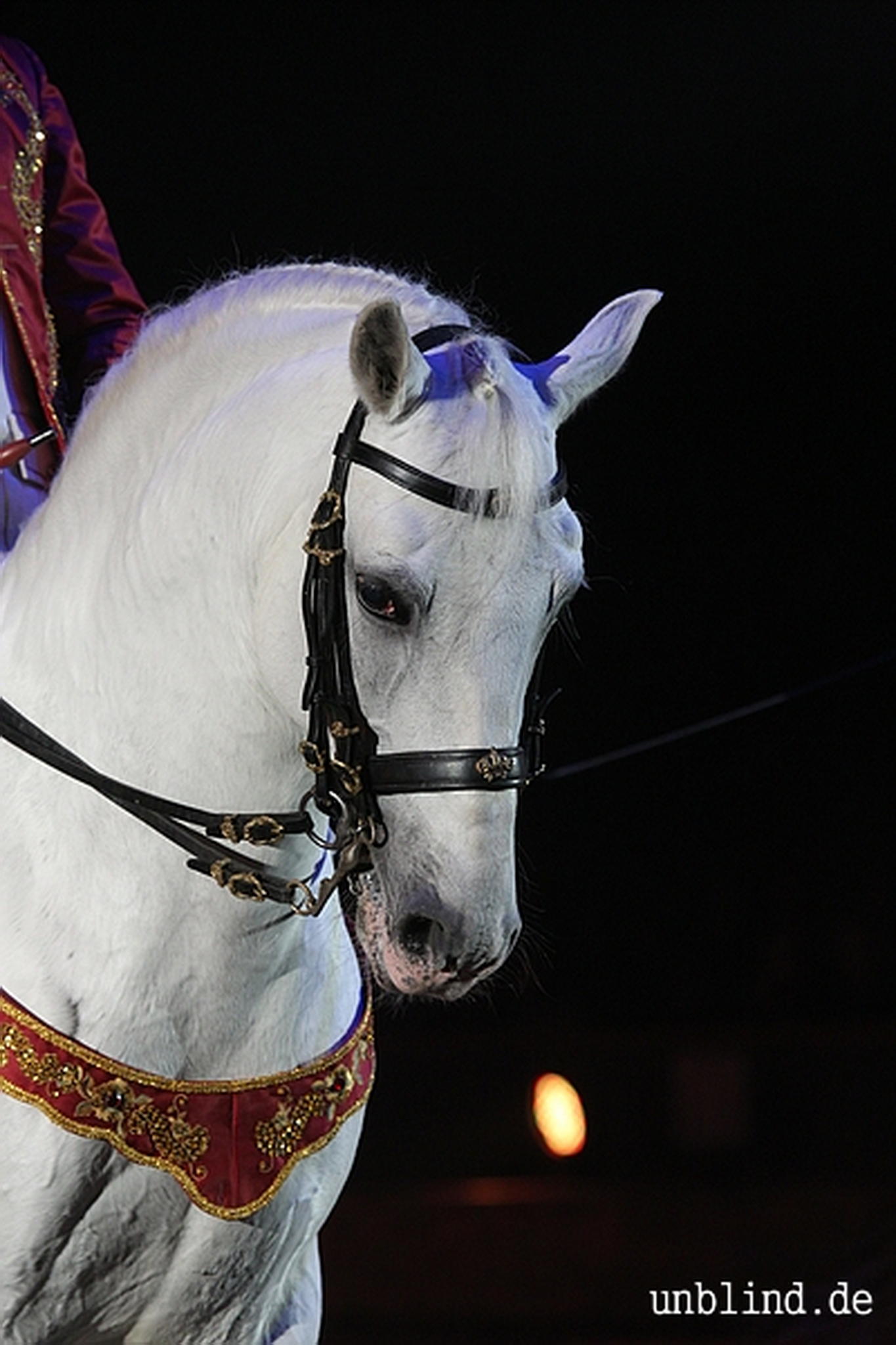 Web 212 13 unb 7867 9187037958 o