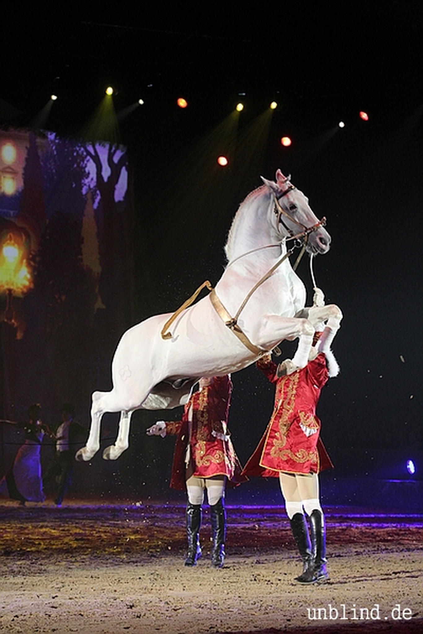 Web 213 13 unb 7887 9187037022 o