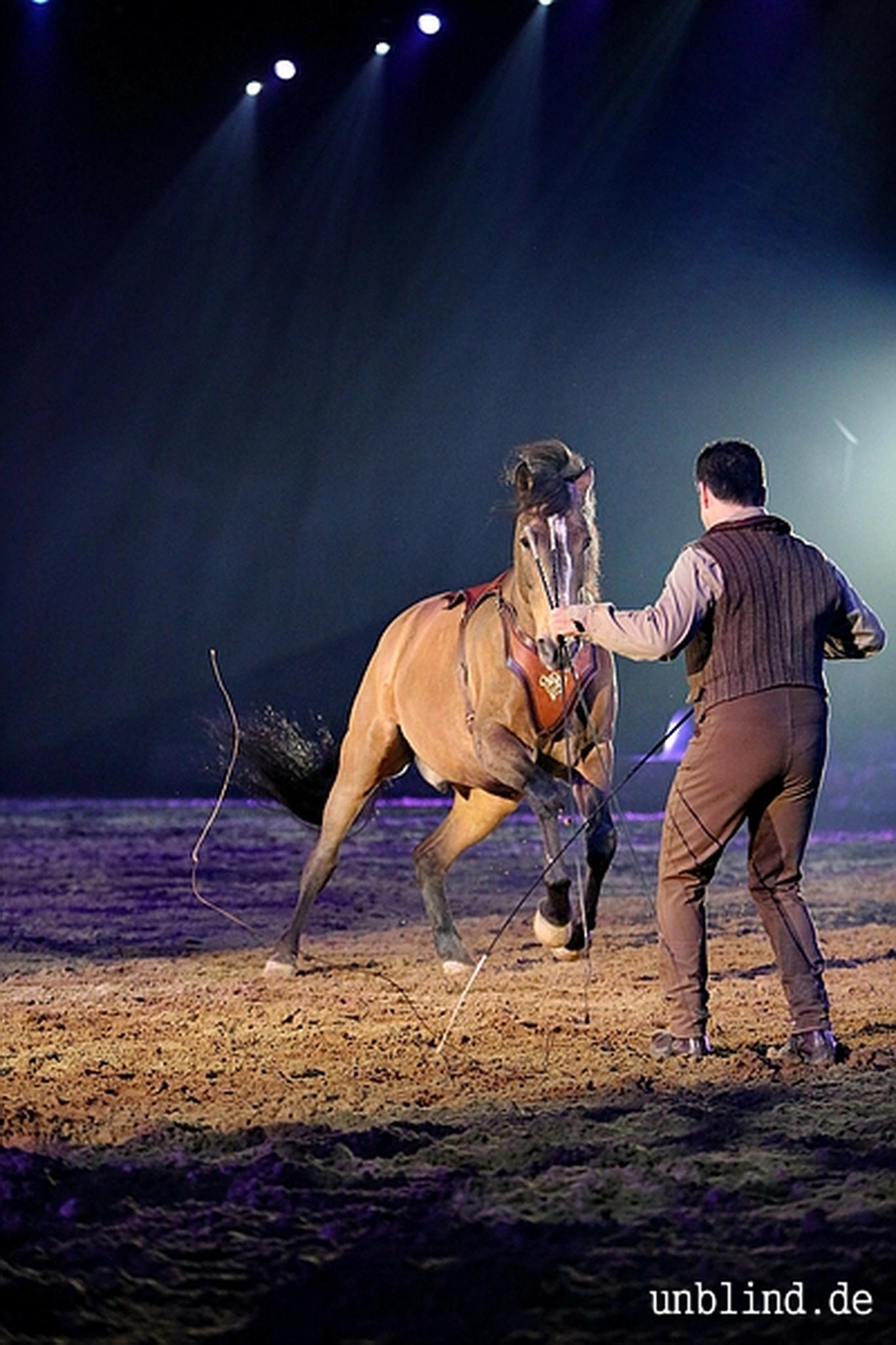 Web 216 15 unb 3164 9187032298 o