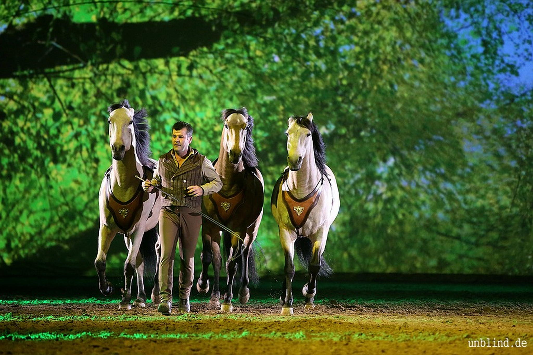 Web 218 15 unb 3228 9187028492 o