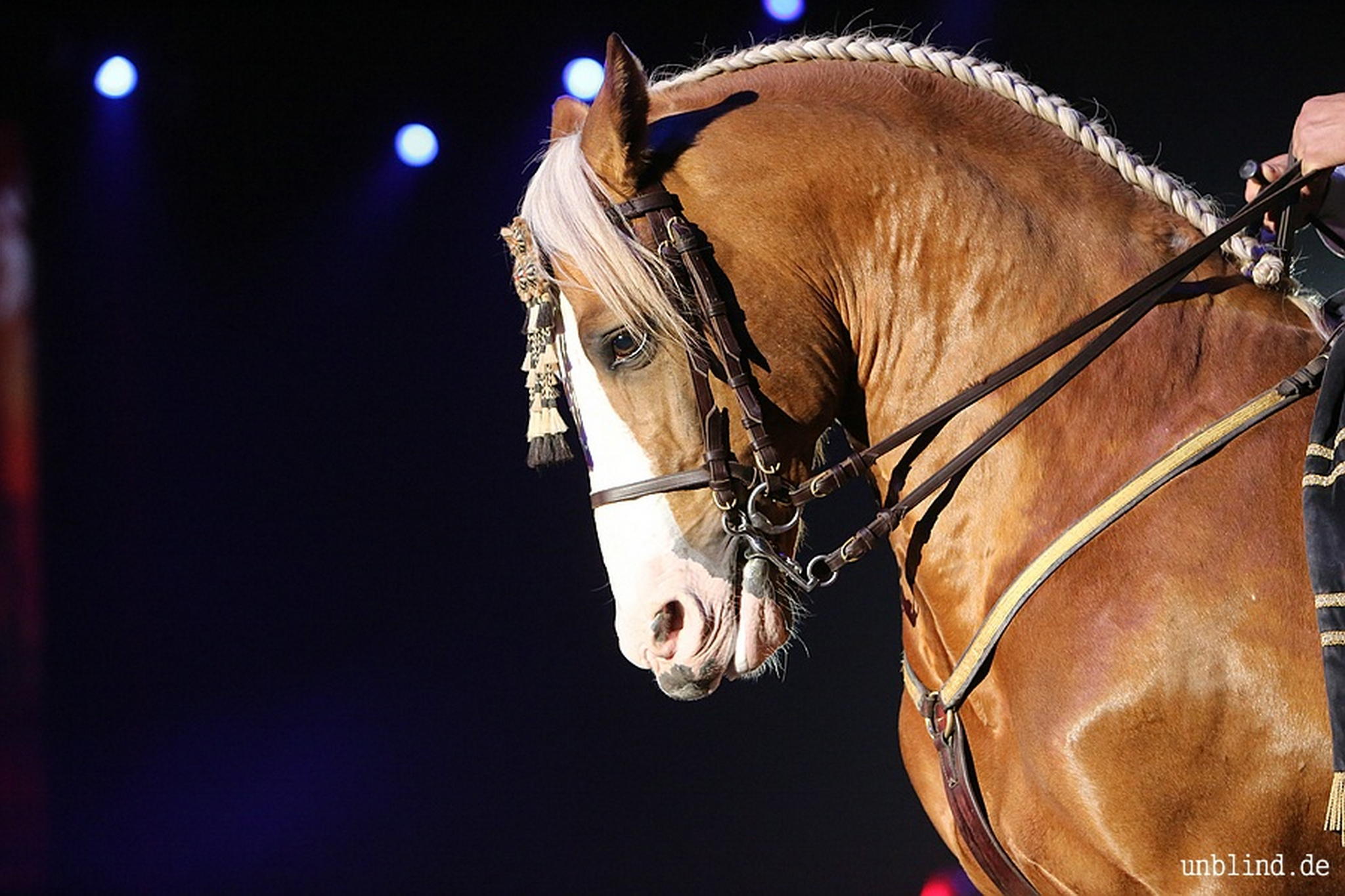 Web 220 14 unb 3054 9186967258 o