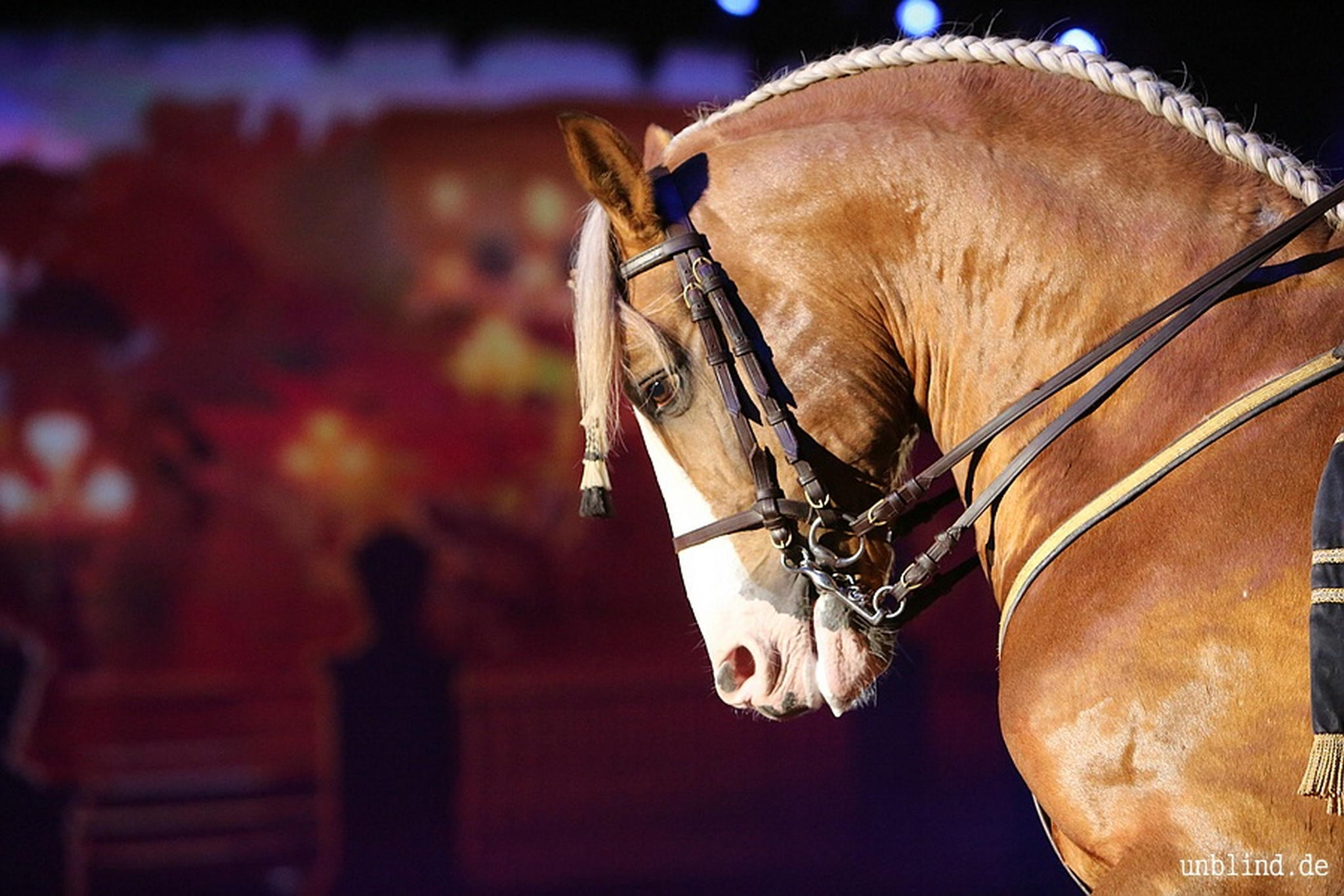 Web 221 14 unb 3057 9186838622 o