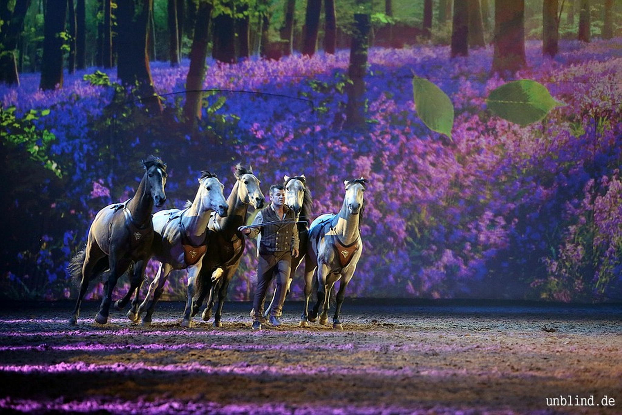 Web 221 15 unb 3294 9186837780 o