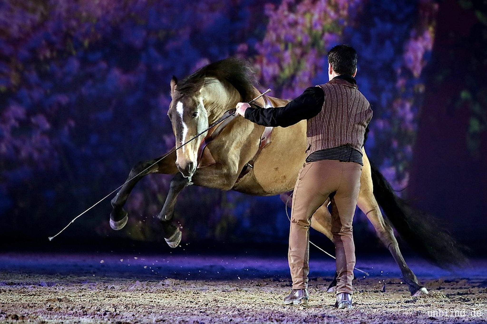 Web 222 15 unb 1087 9186836342 o