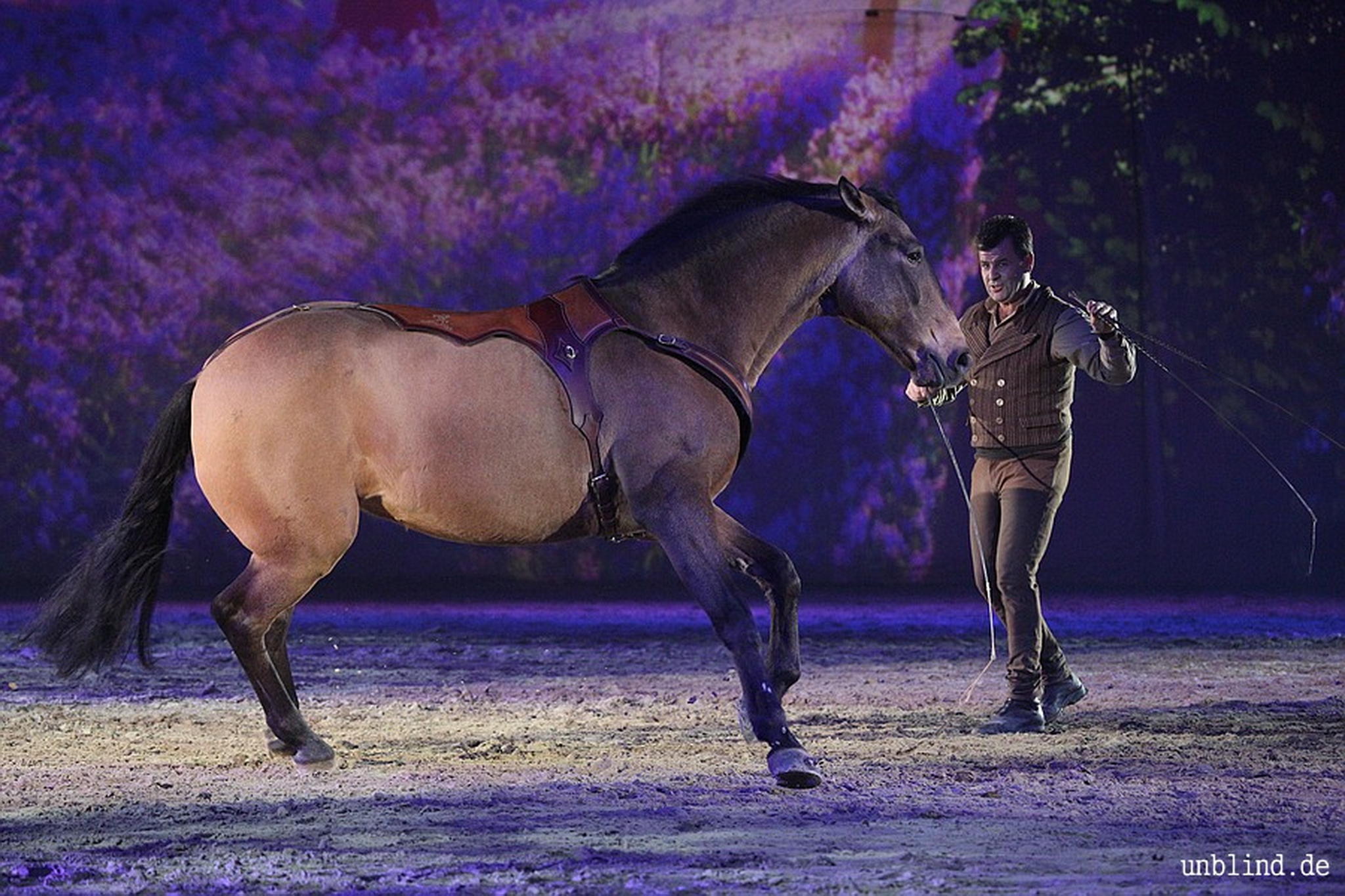 Web 231 15 unb 7969 9186830074 o