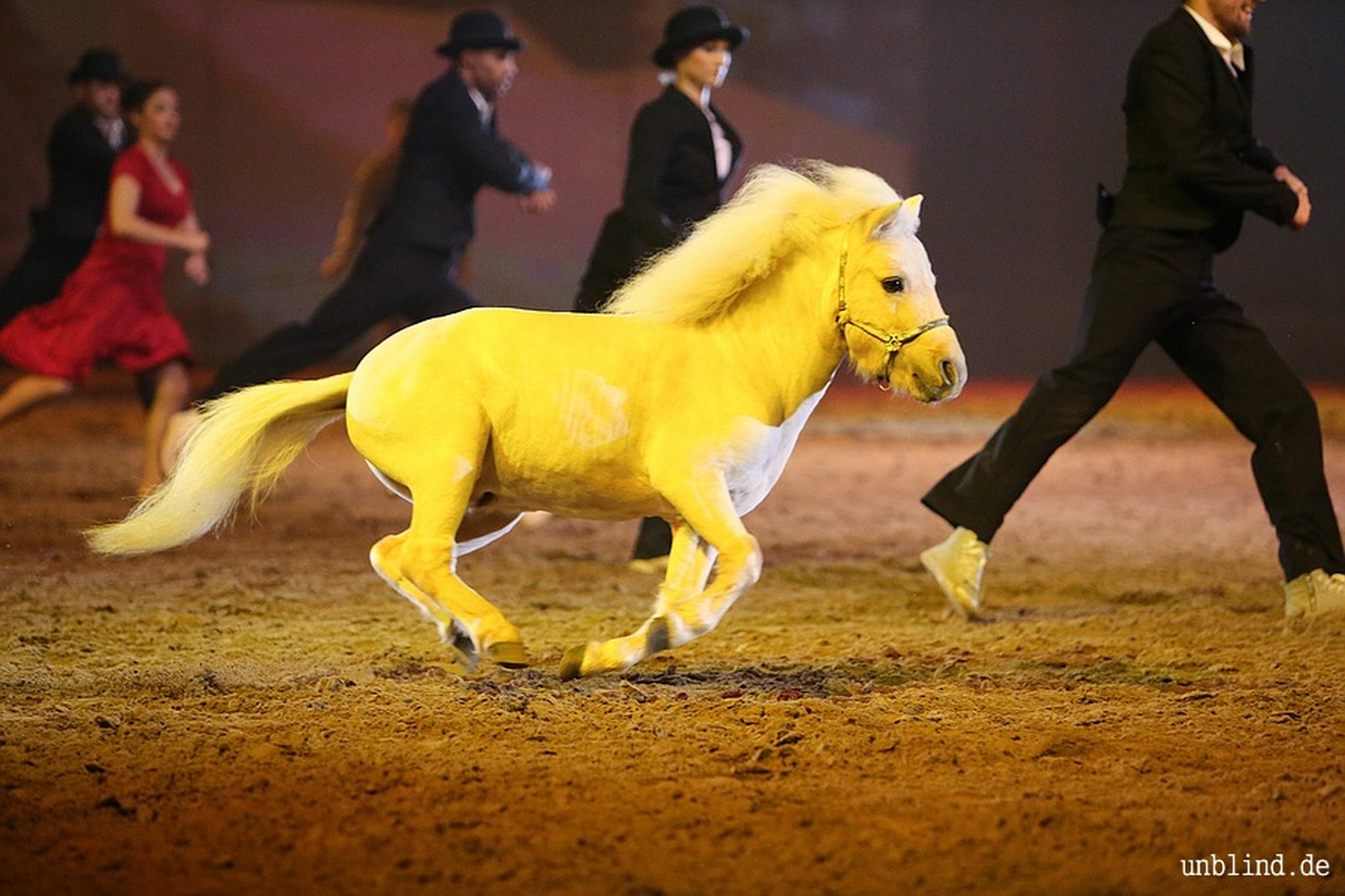 Web 237 16 unb 3335 9186781270 o