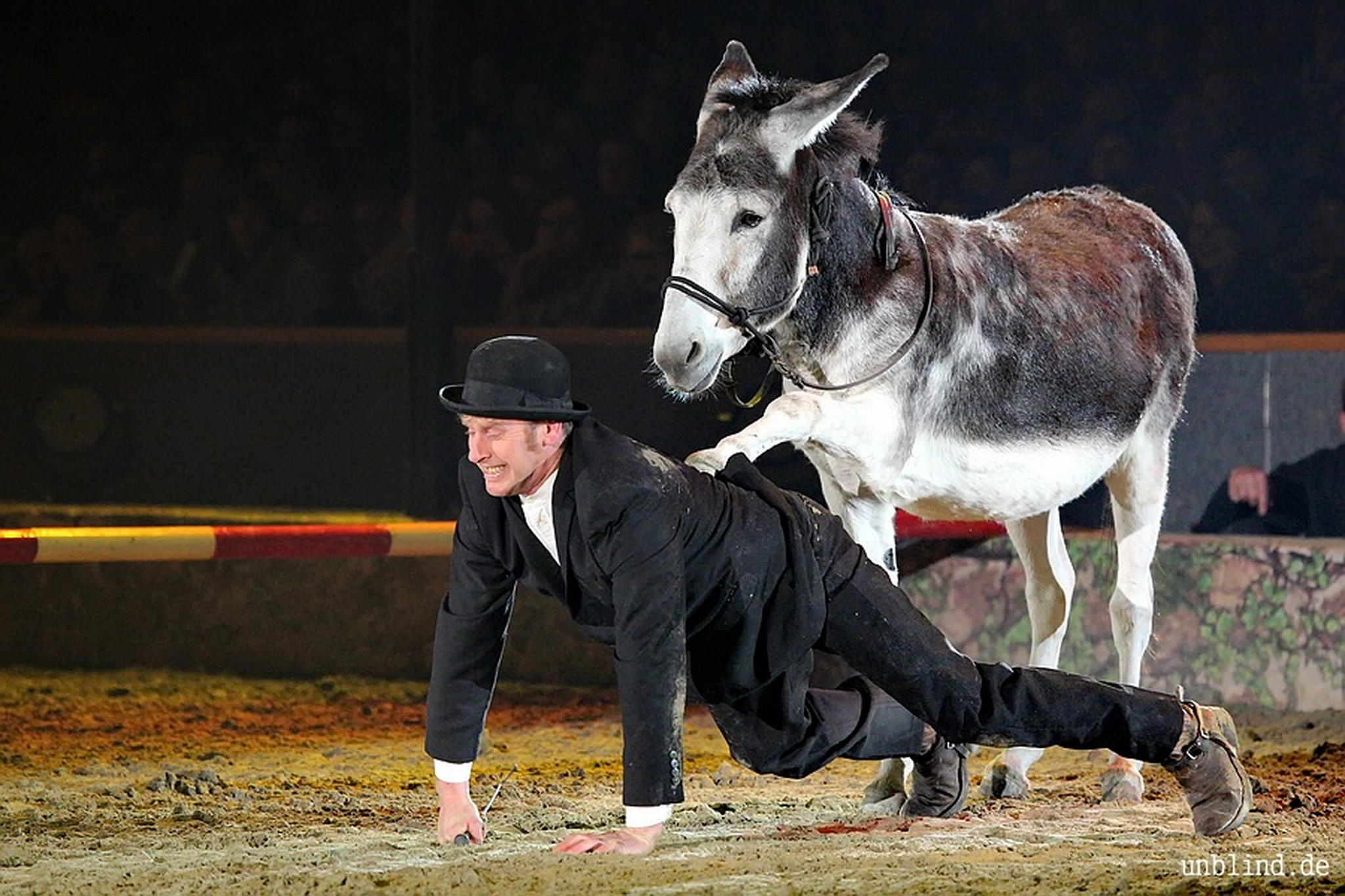 Web 248 16 unb 8046 9186776180 o