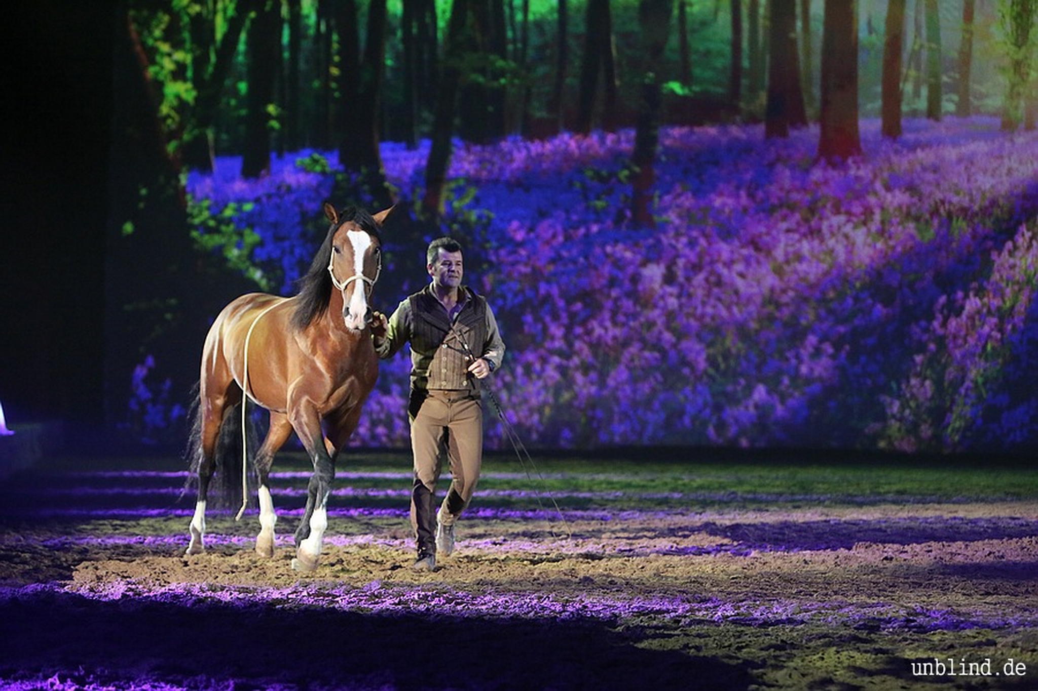 Web 267 18 unb 3587 9186767154 o