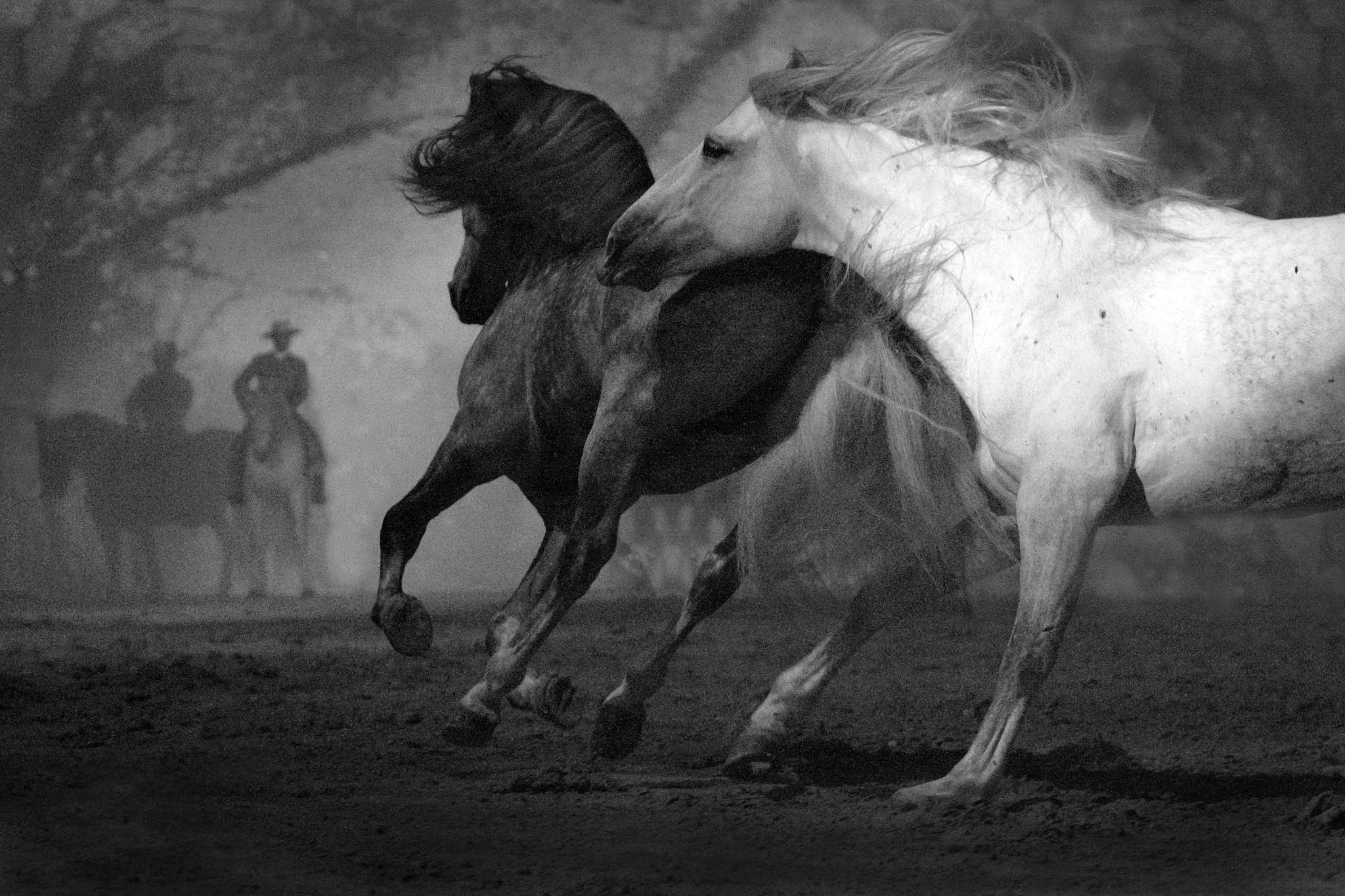 Zeitreise 27042569846 o