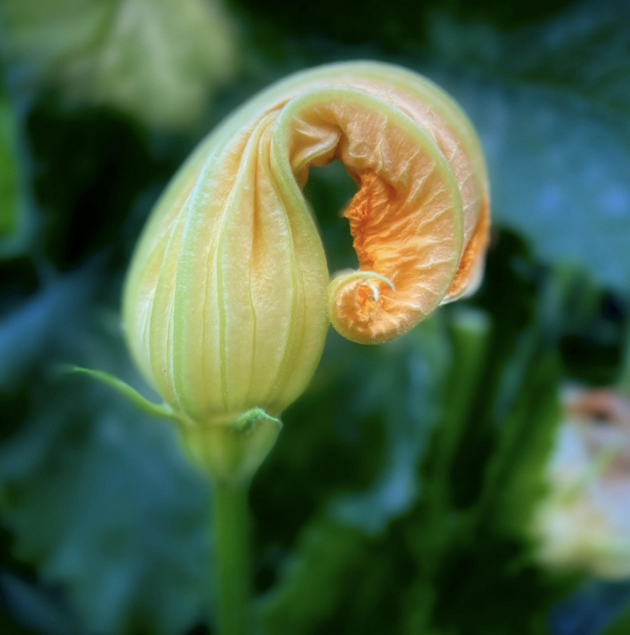 53919320443 6fa15035d2 o