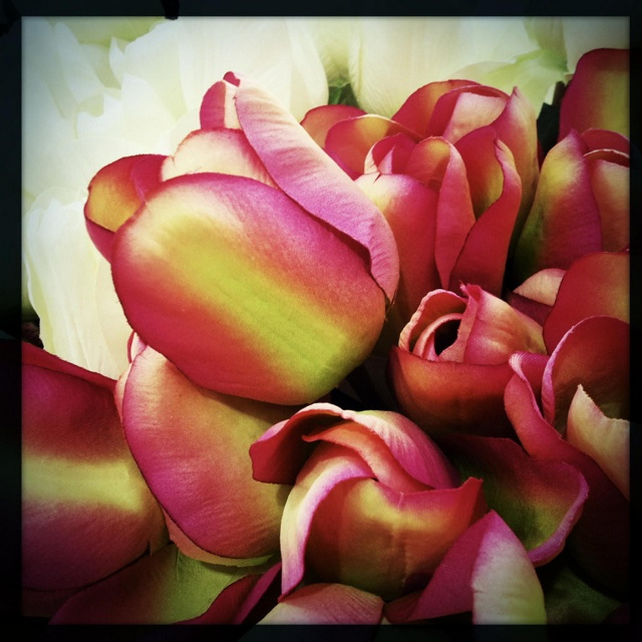 Blmelein 9391613349 o