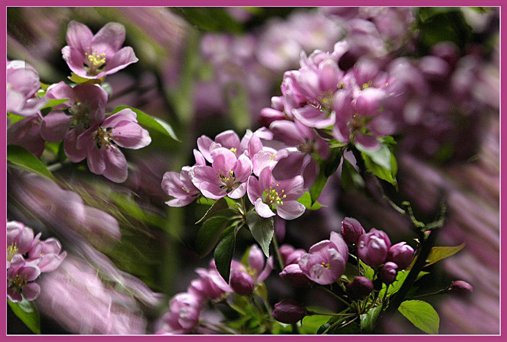 Ein bisschen kitsch 6011377470 o