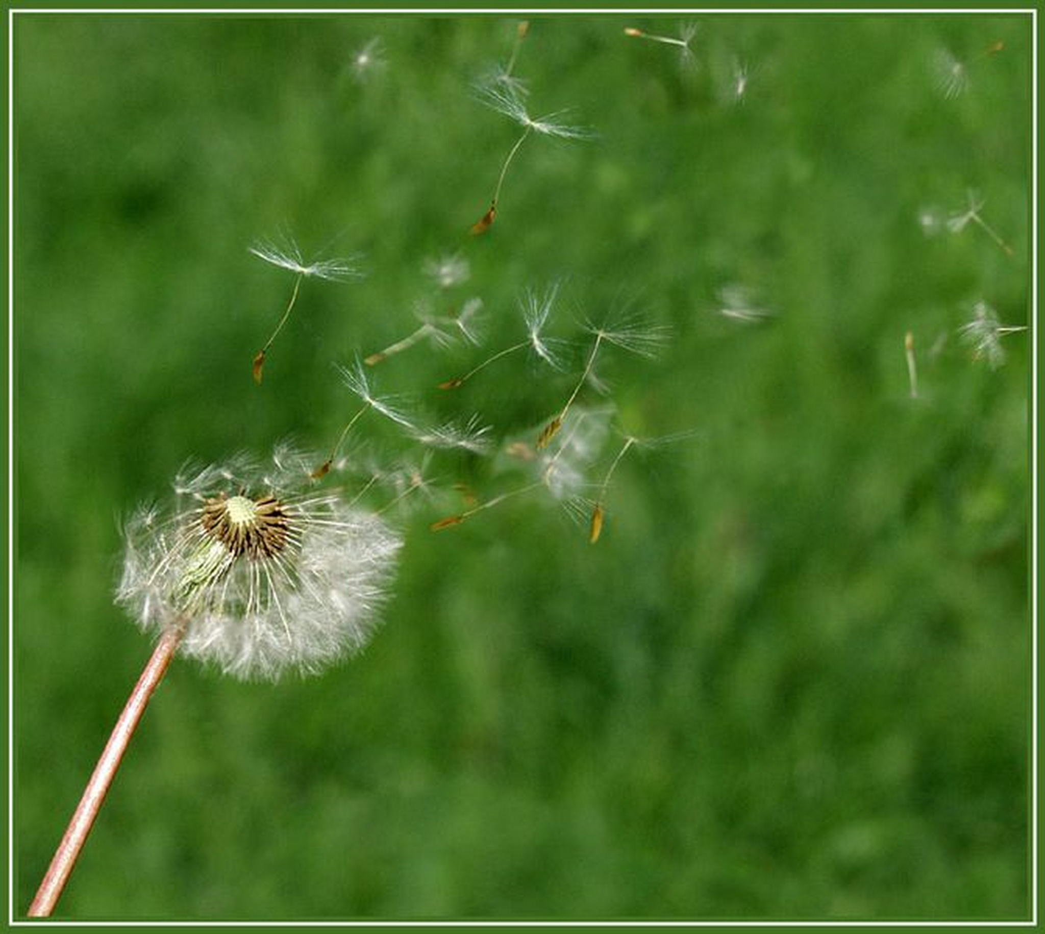 Flug ins ungewisse 6013146881 o